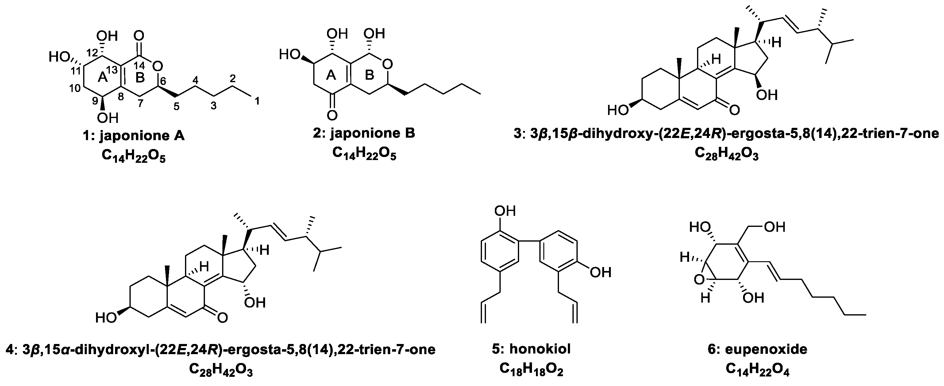 Plants 14 00173 g001
