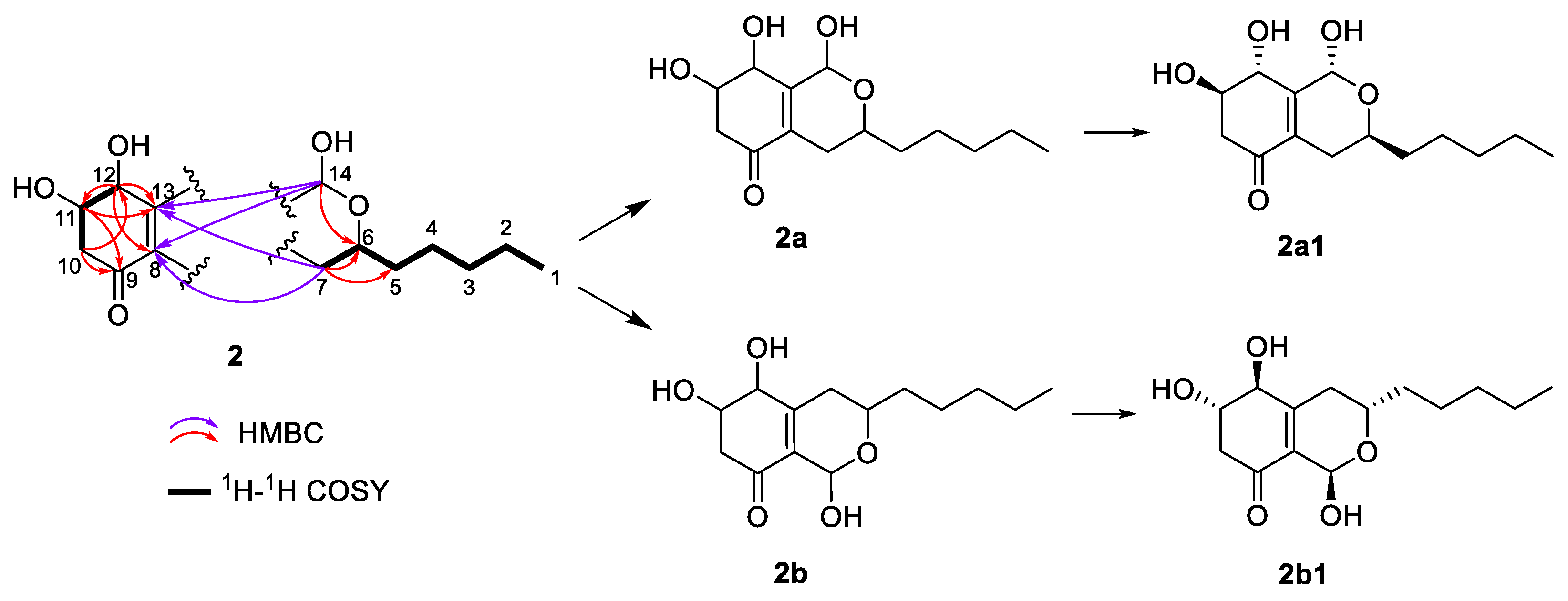 Plants 14 00173 g005