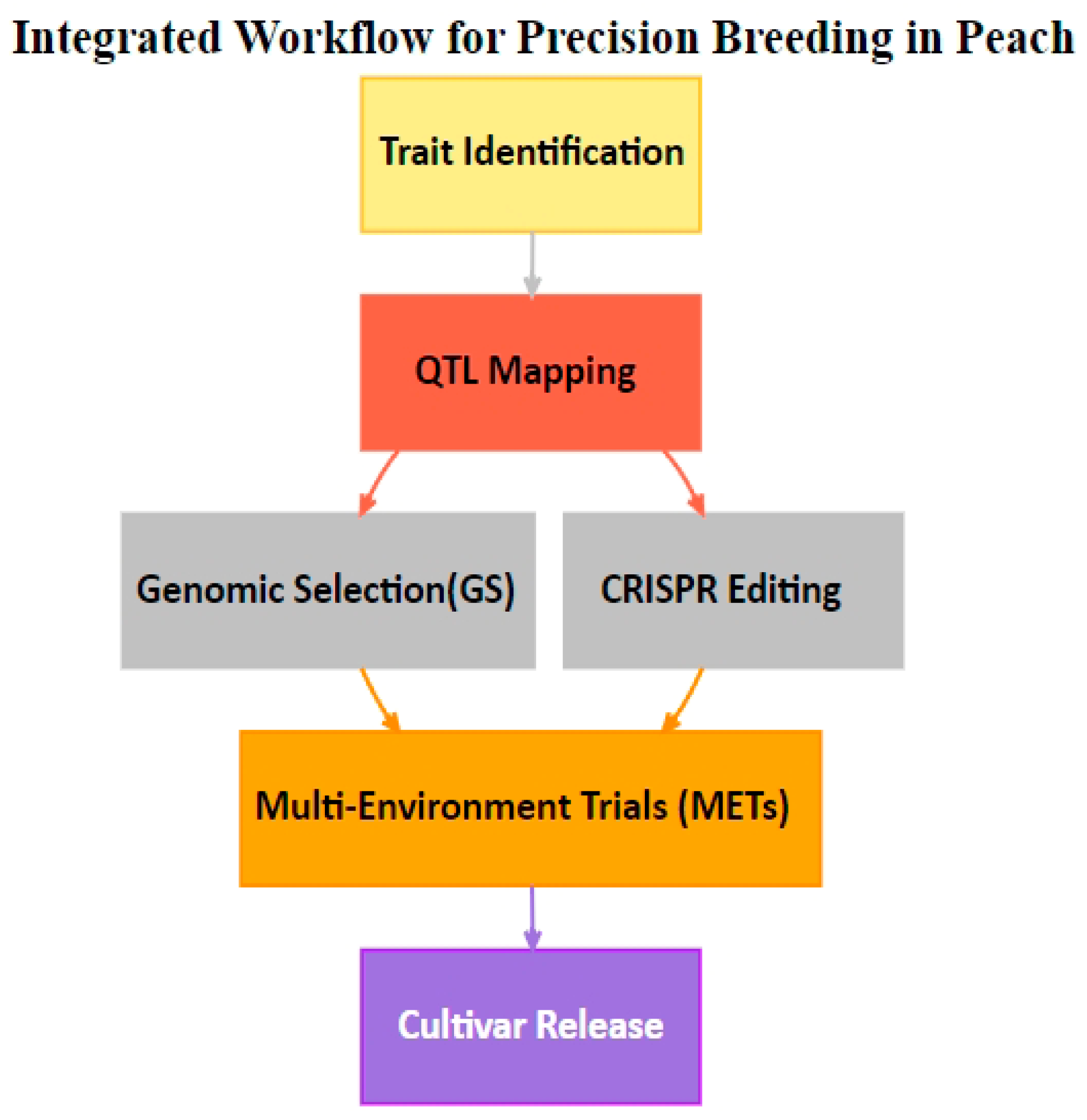 Plants 14 00175 g001