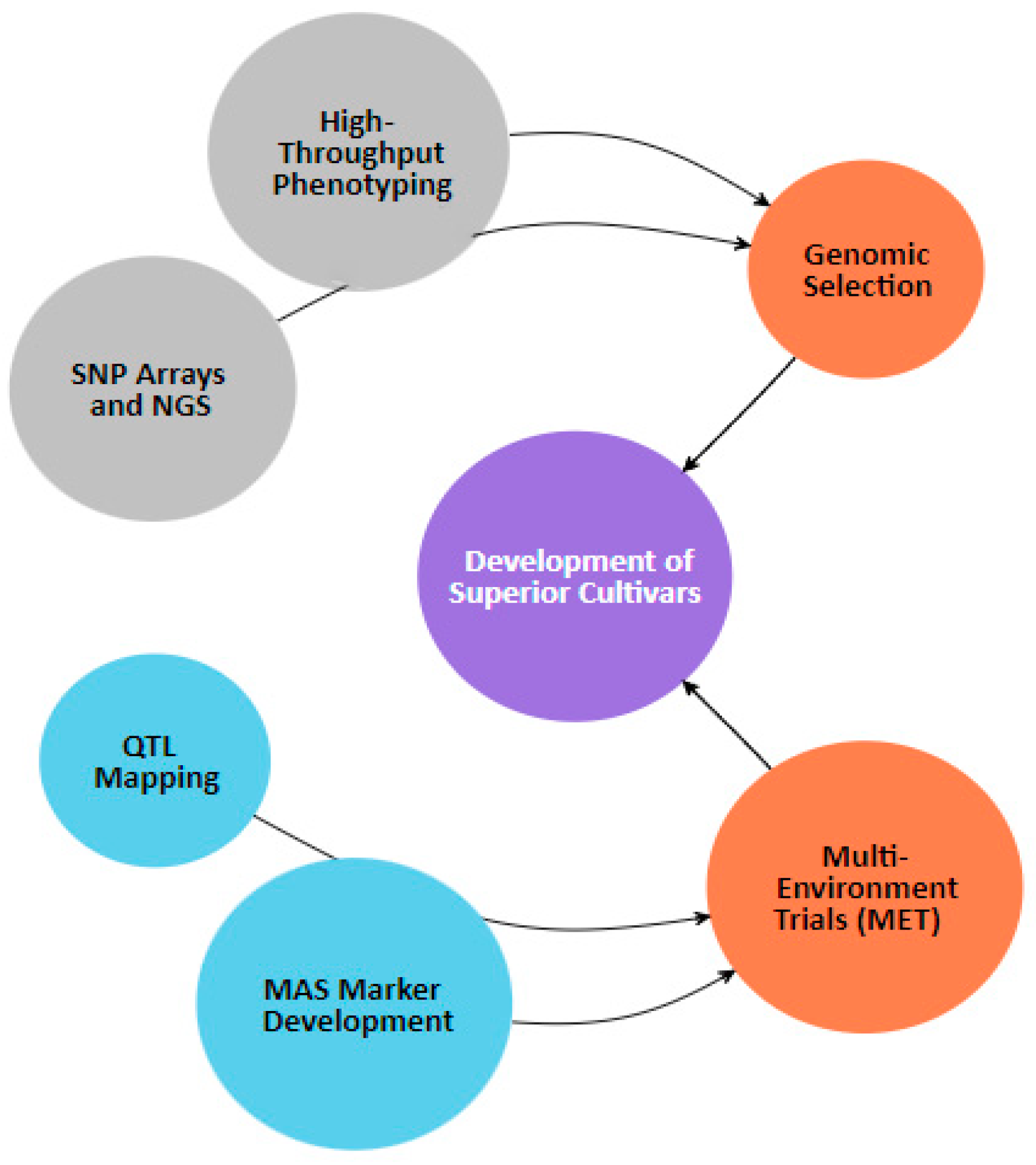 Plants 14 00175 g005