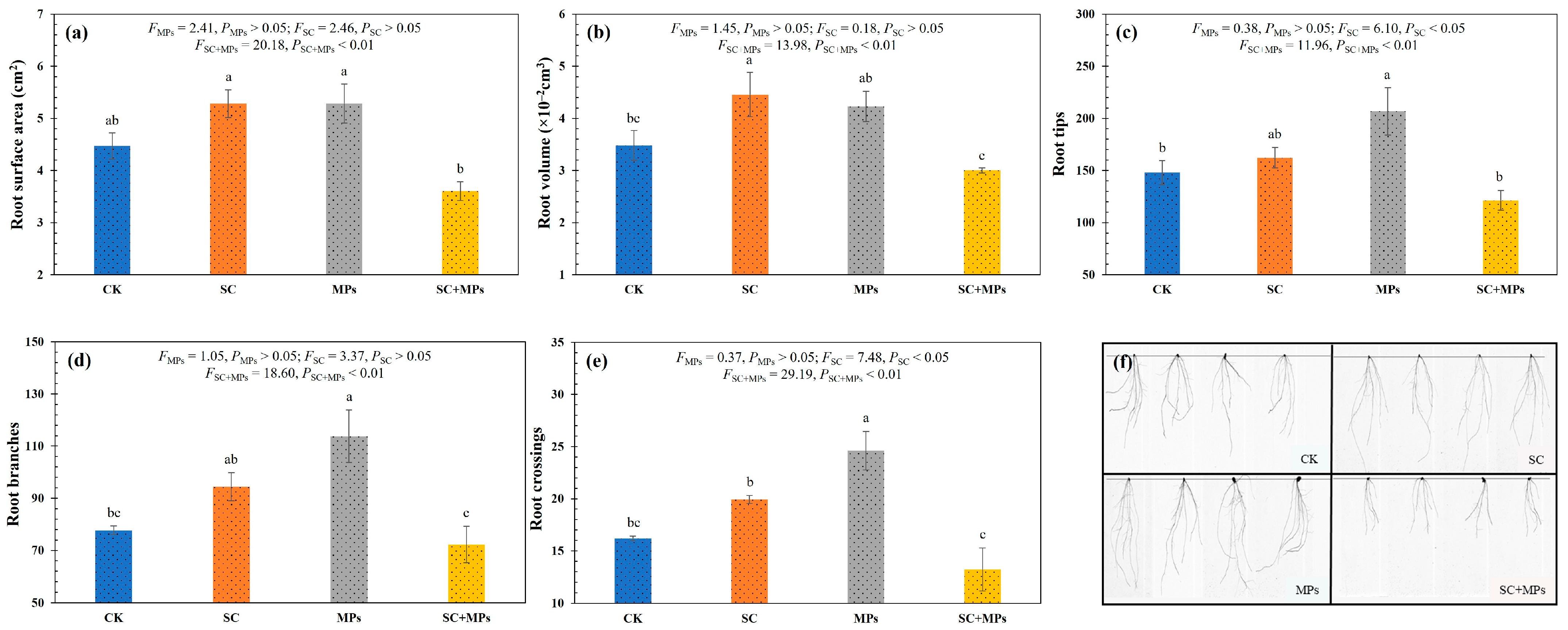 Plants 14 00181 g003