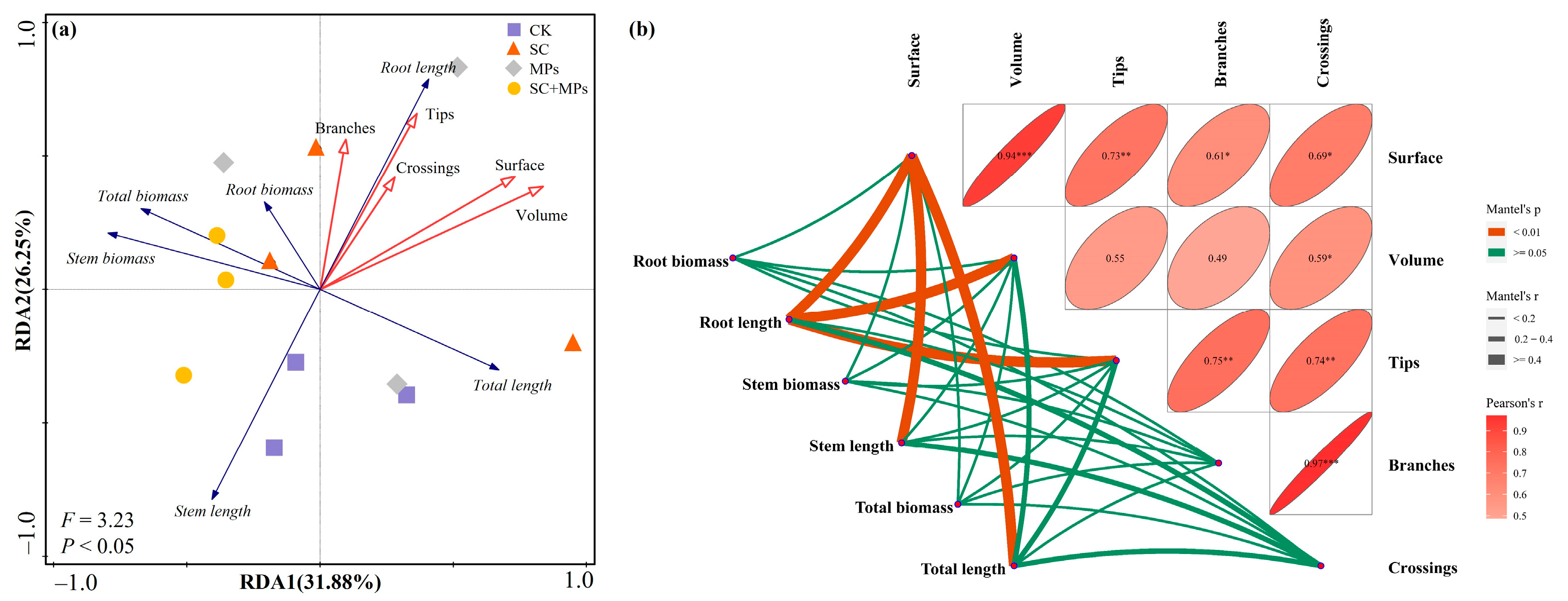 Plants 14 00181 g005