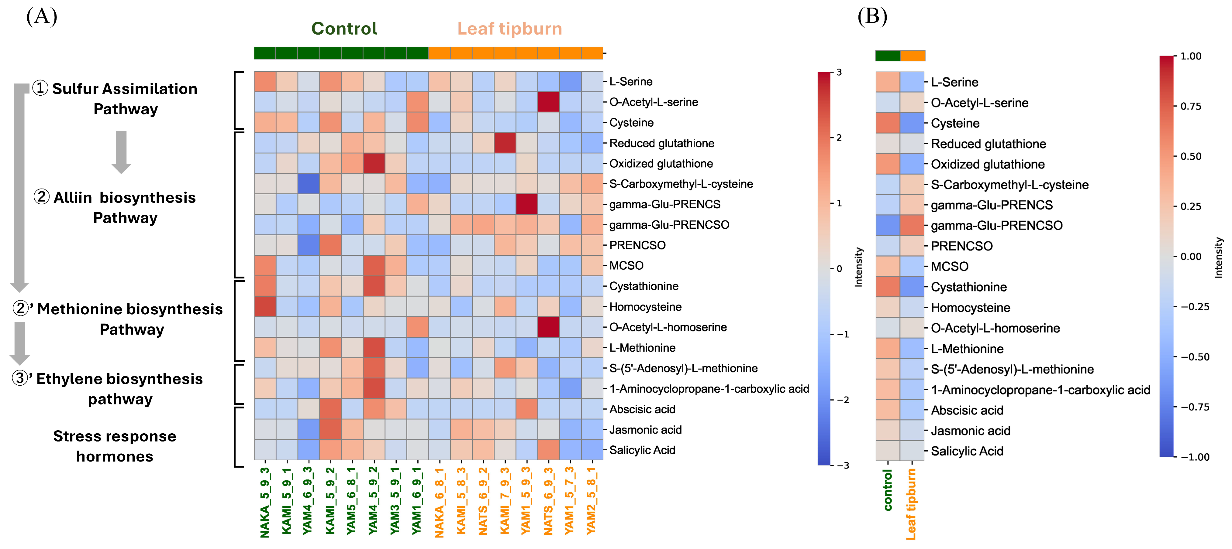 Plants 14 00187 g008