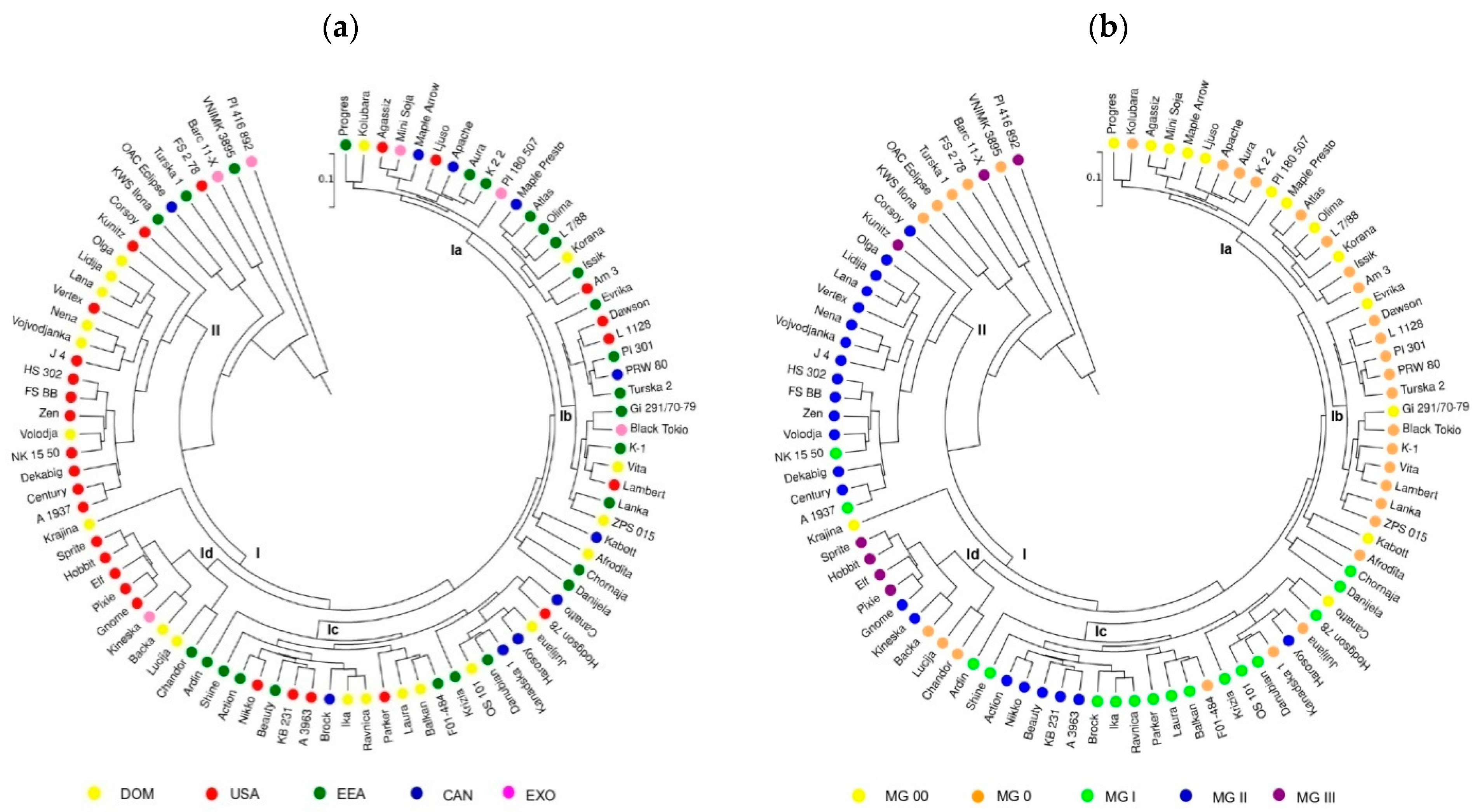 Plants 14 00201 g005