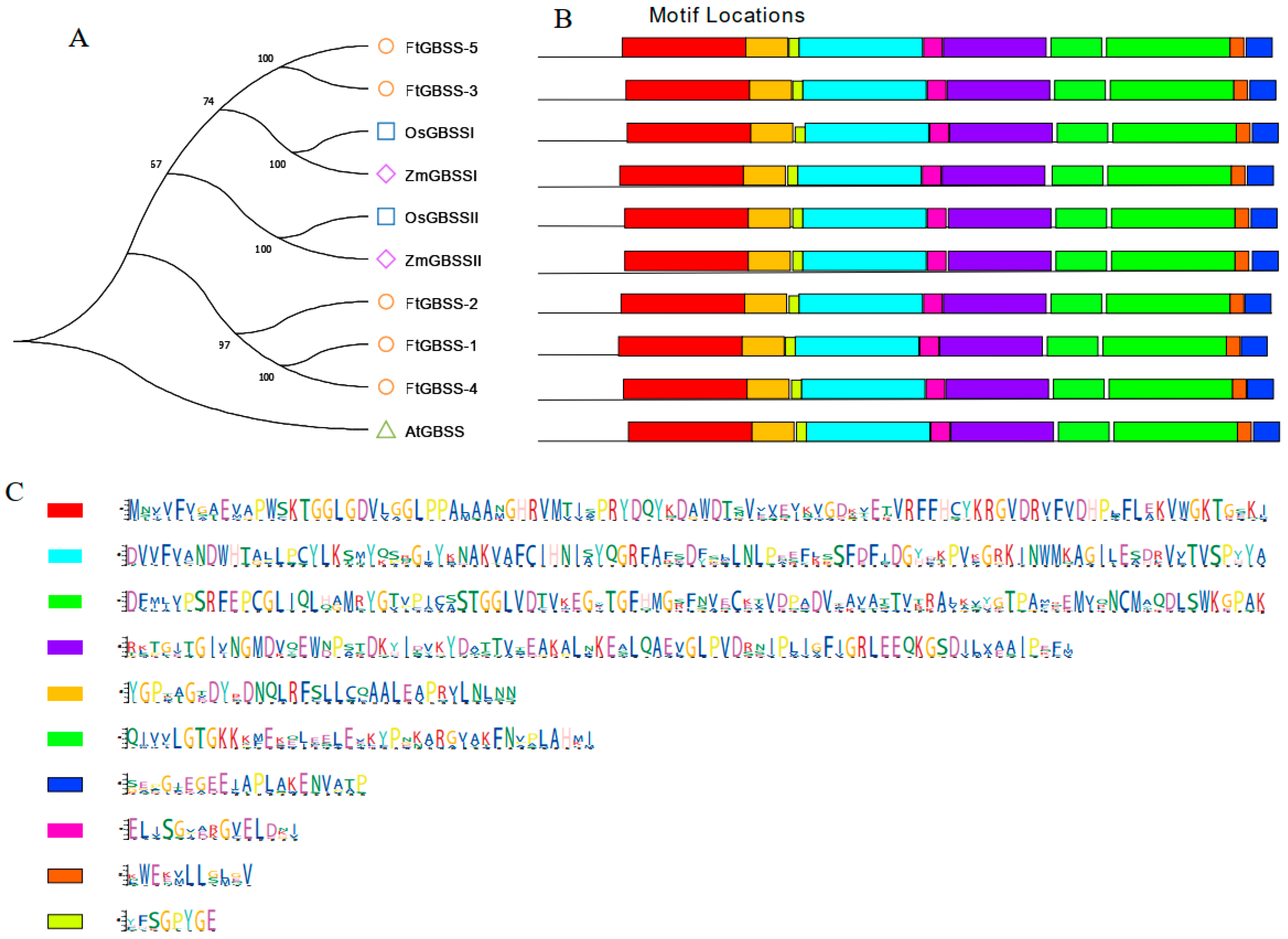 Plants 14 00203 g003