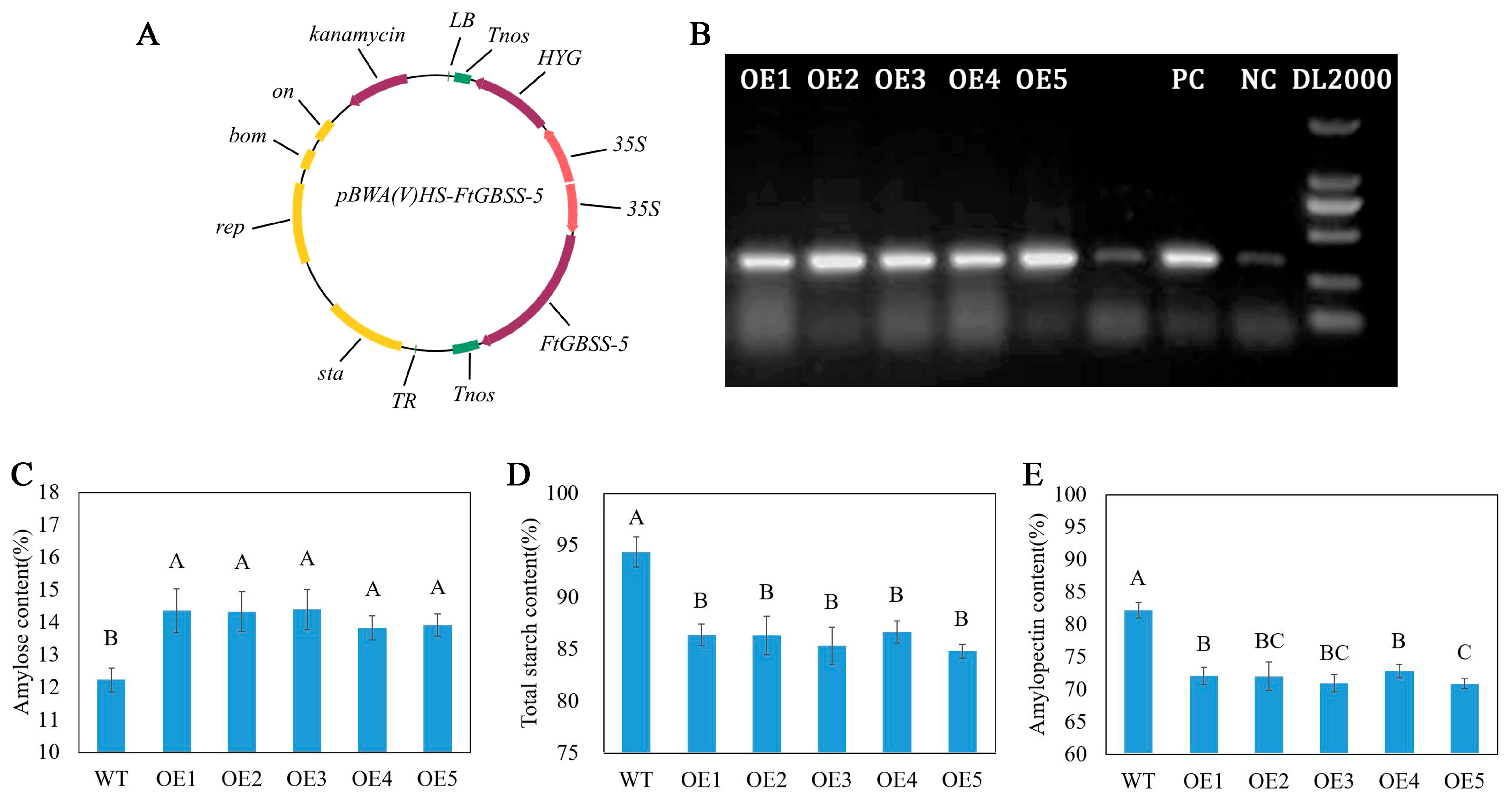 Plants 14 00203 g006