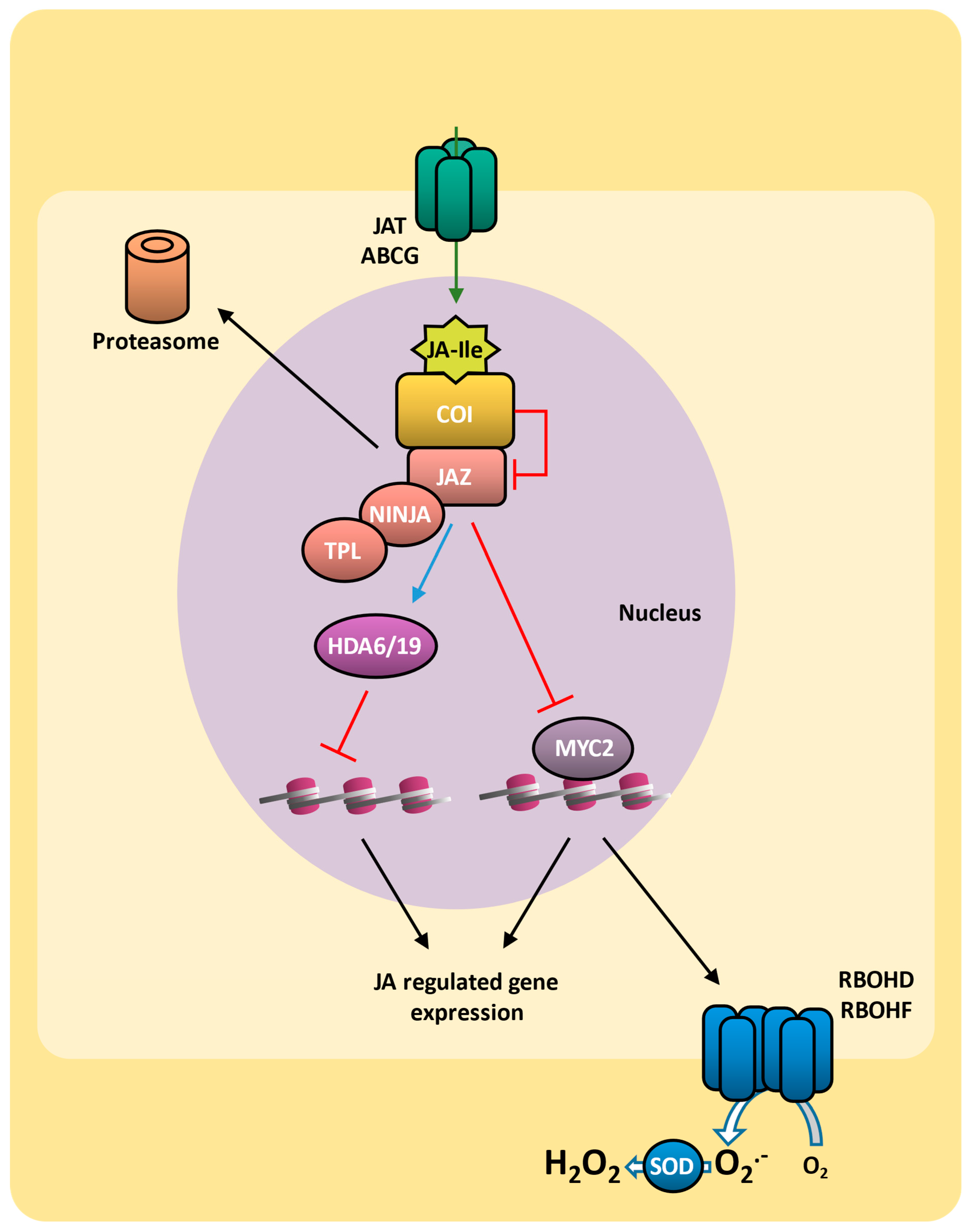 Plants 14 00208 g004