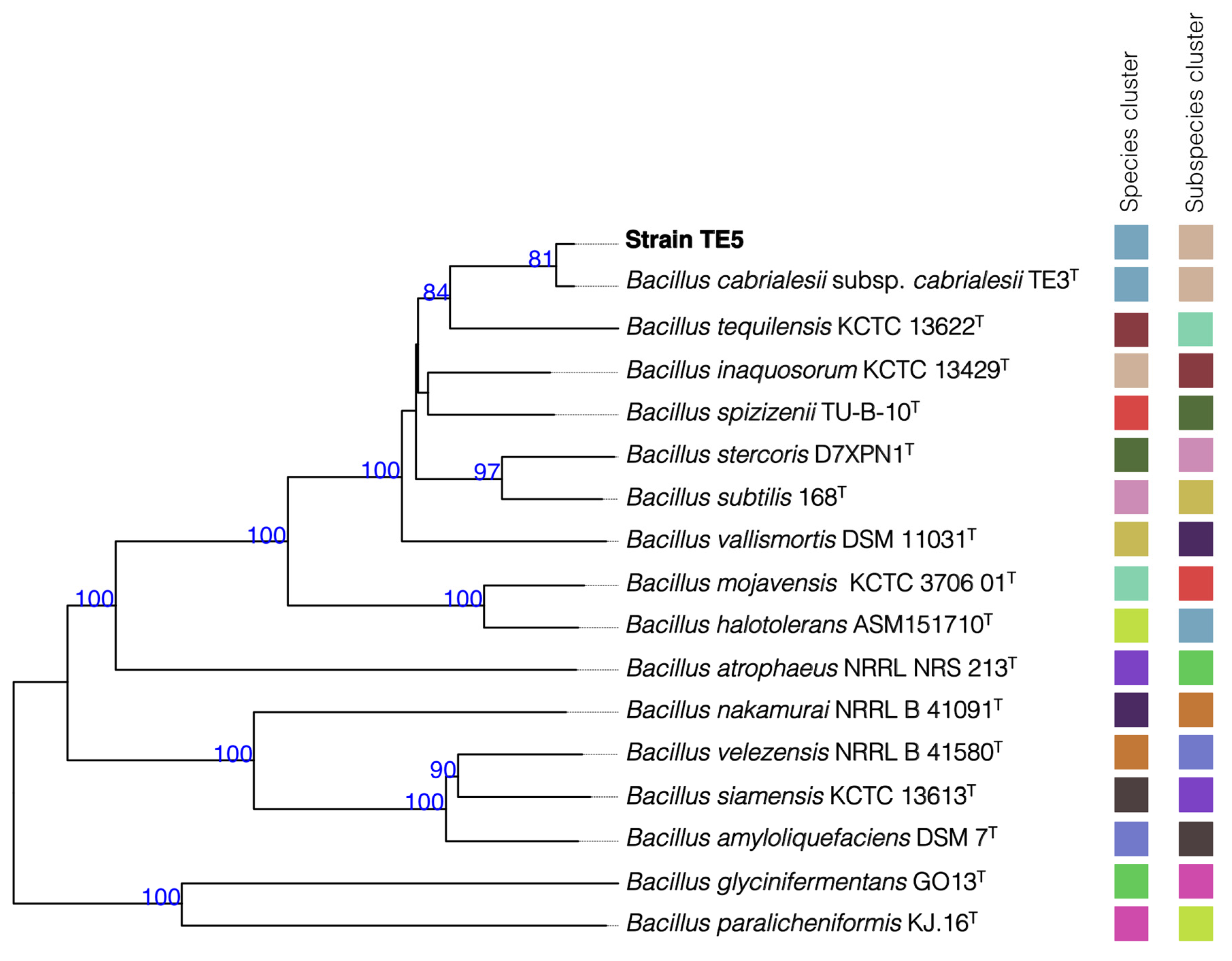 Plants 14 00209 g001