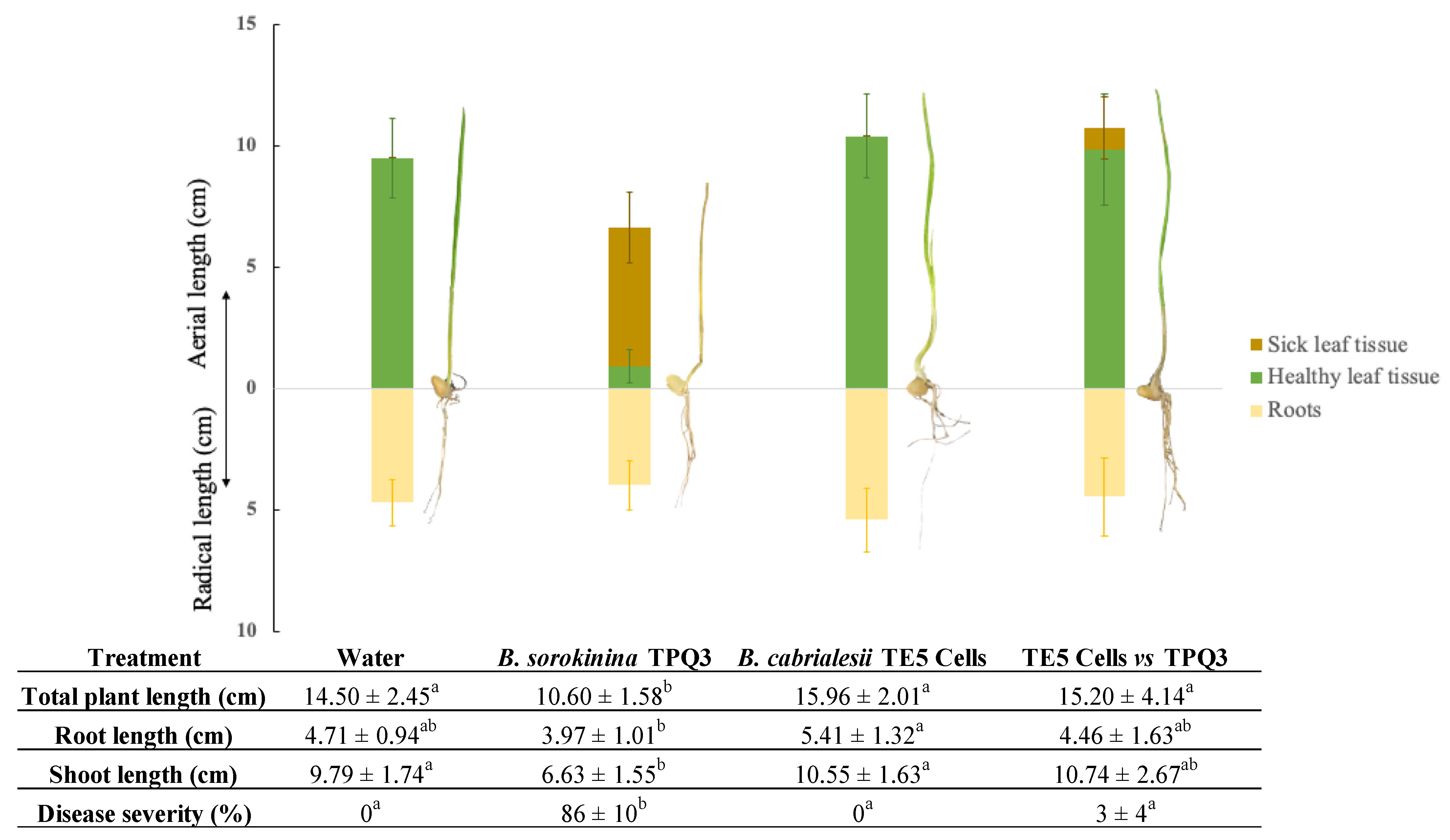 Plants 14 00209 g006
