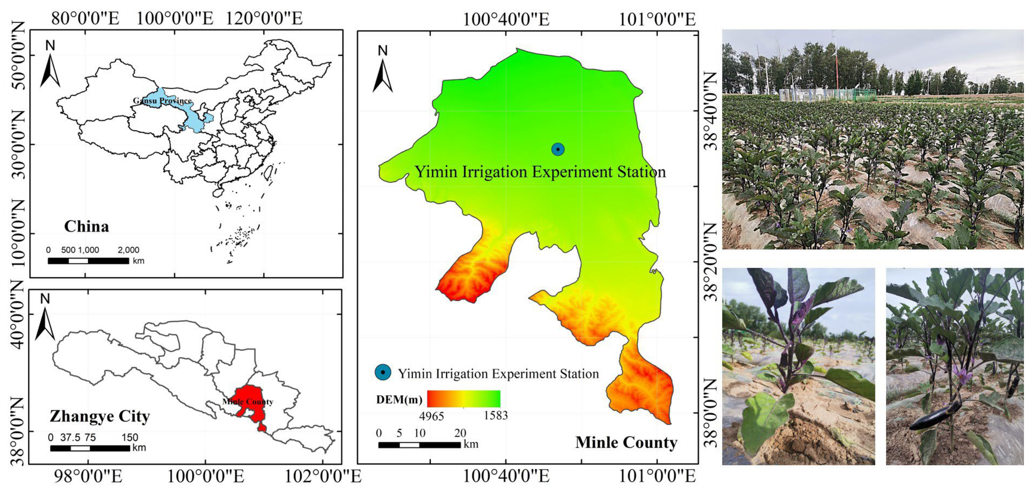 Plants 14 00210 g006