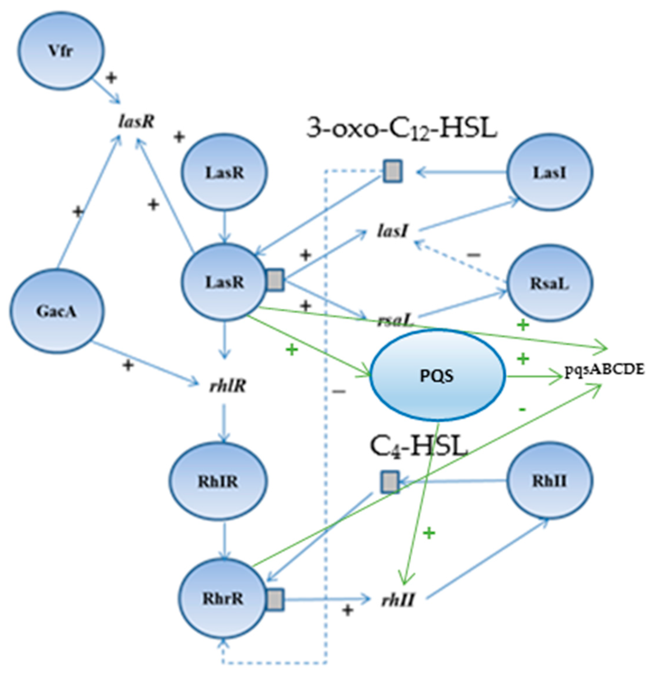 Plants 14 00213 g001