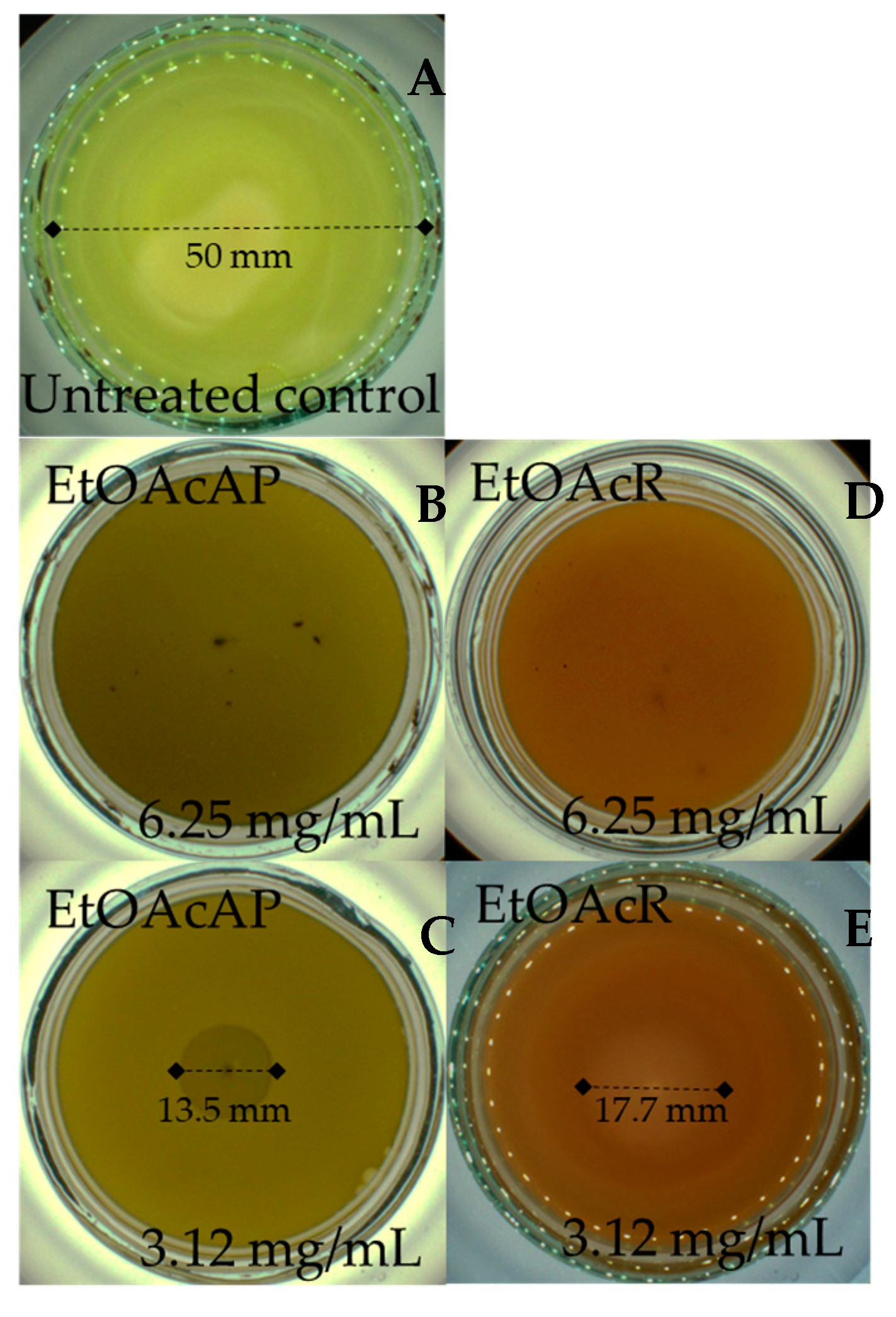 Plants 14 00213 g004