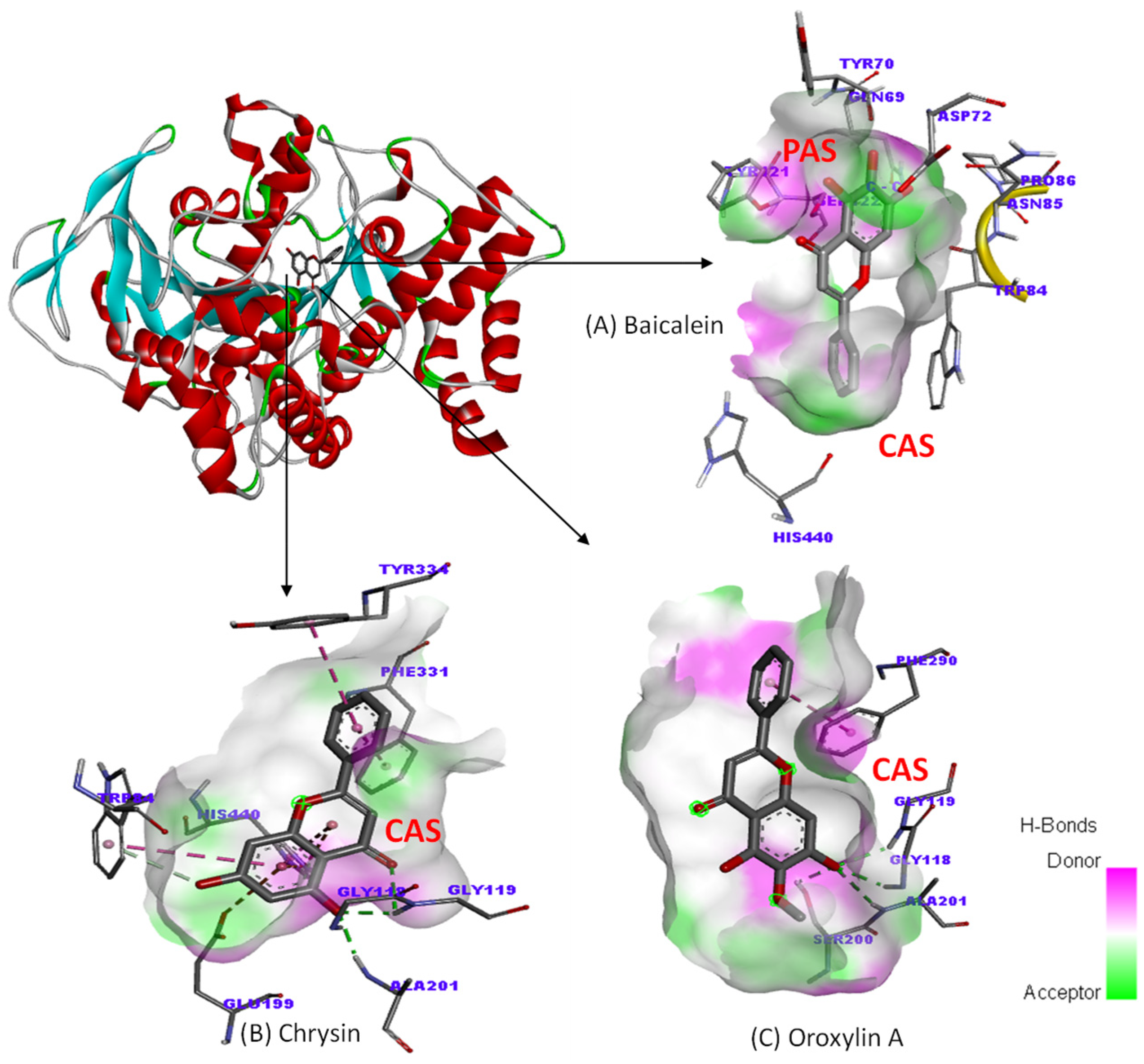 Plants 14 00223 g006