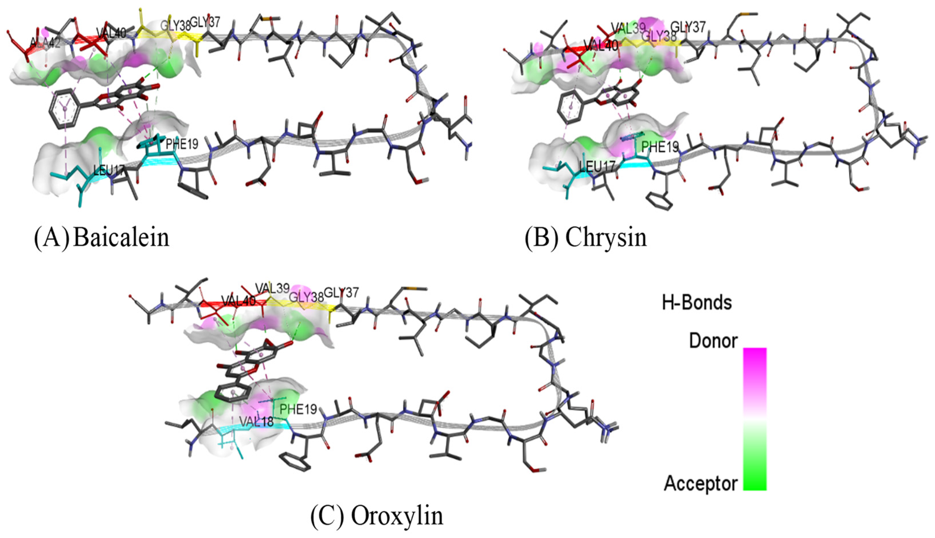 Plants 14 00223 g008