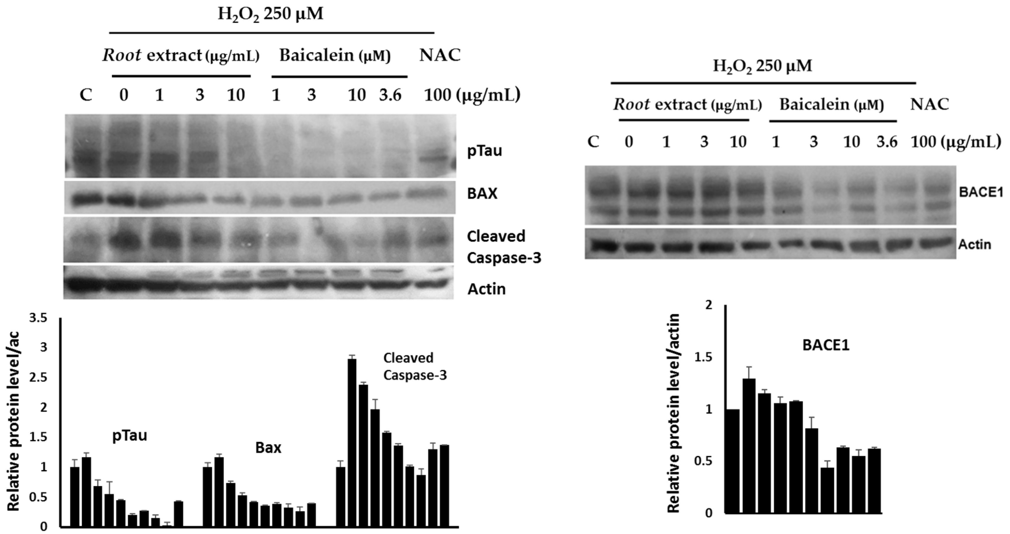 Plants 14 00223 g012