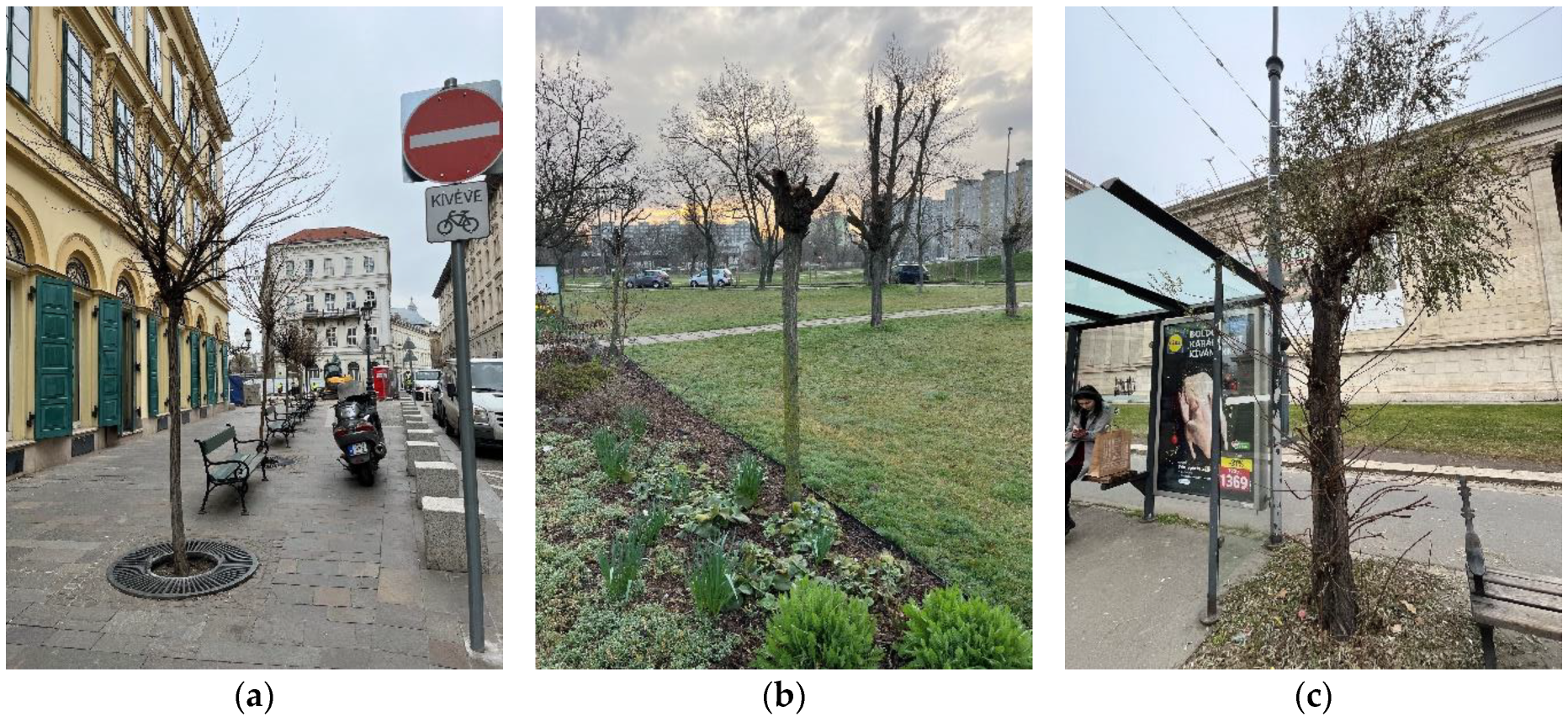 Plants 14 00228 g015