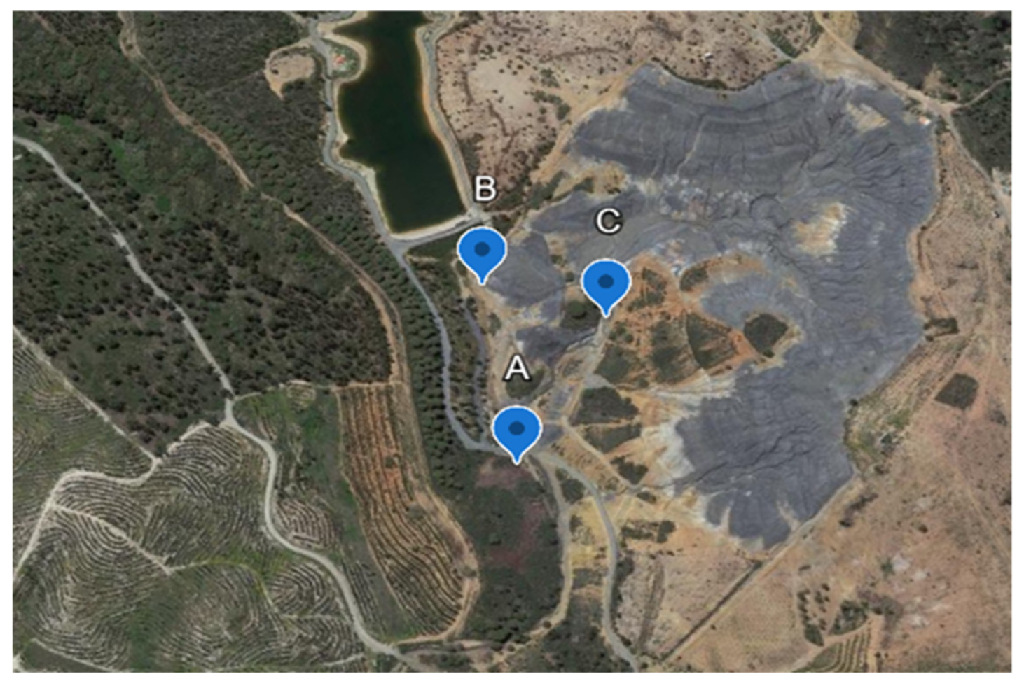 Plants 14 00230 g002 Plants 14 00230 g002