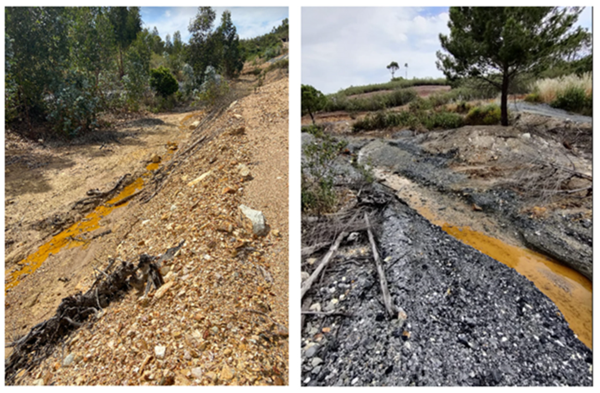 Plants 14 00230 g003 Plants 14 00230 g003