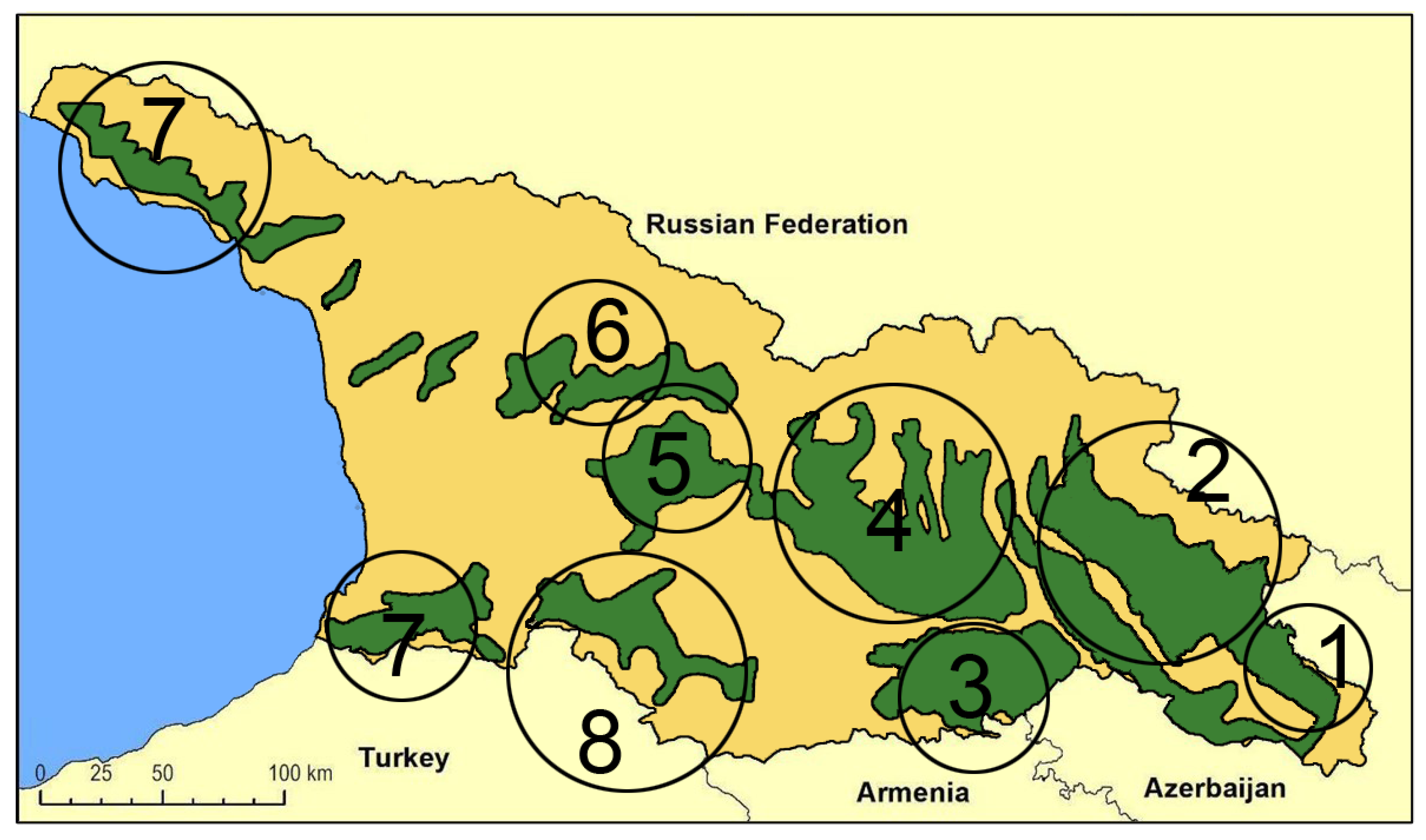 Plants 14 00232 g001