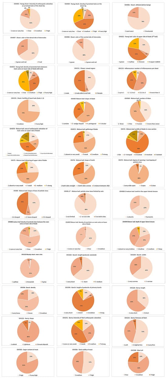 Plants 14 00232 g0a1