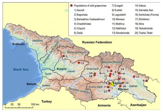 Plants 14 00232 g0a2