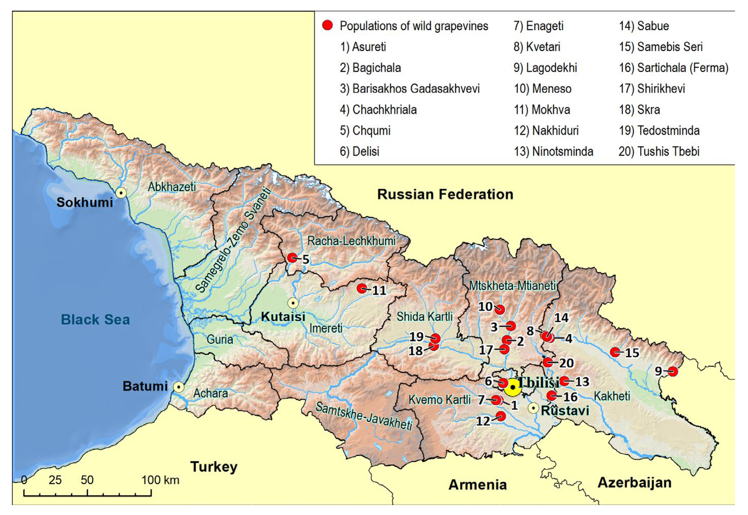 Plants 14 00232 g0a2