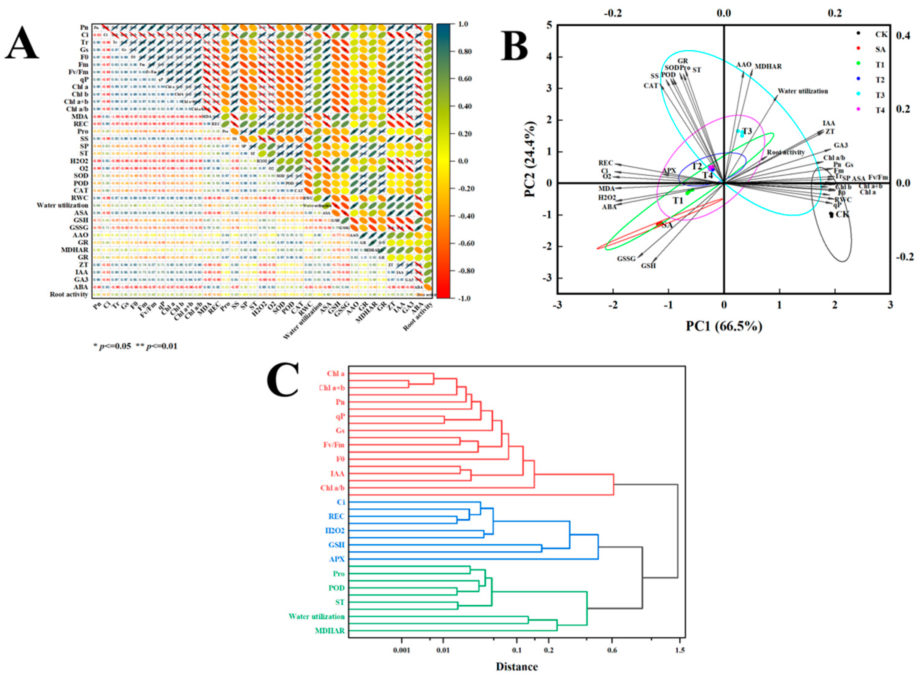 Plants 14 00233 g016