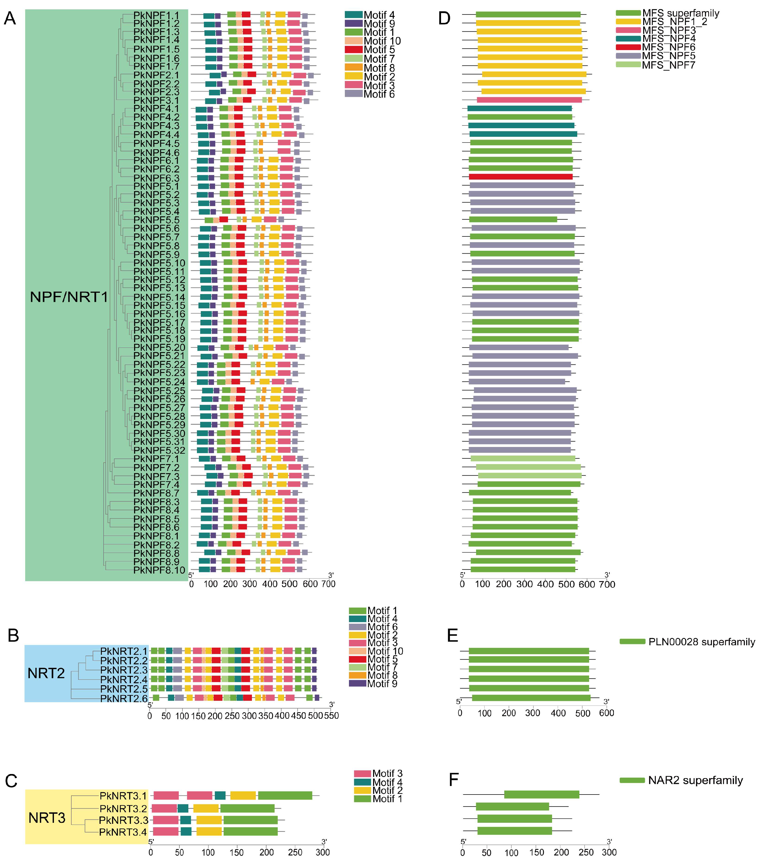 Plants 14 00238 g002