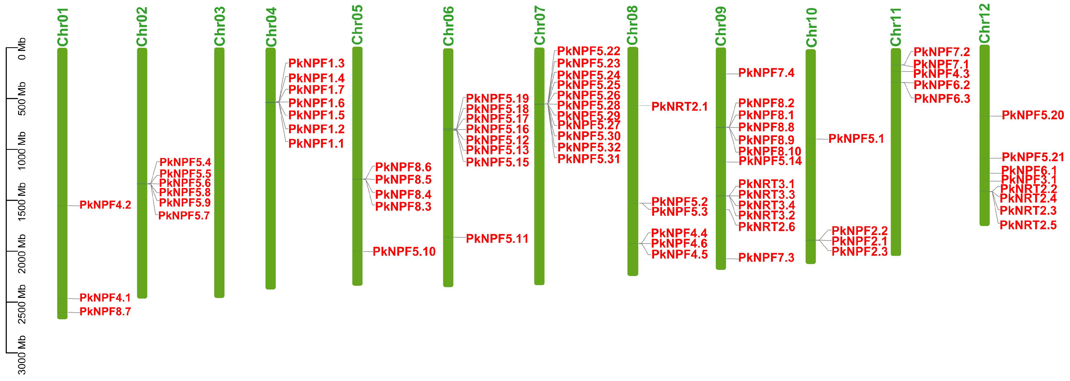 Plants 14 00238 g003