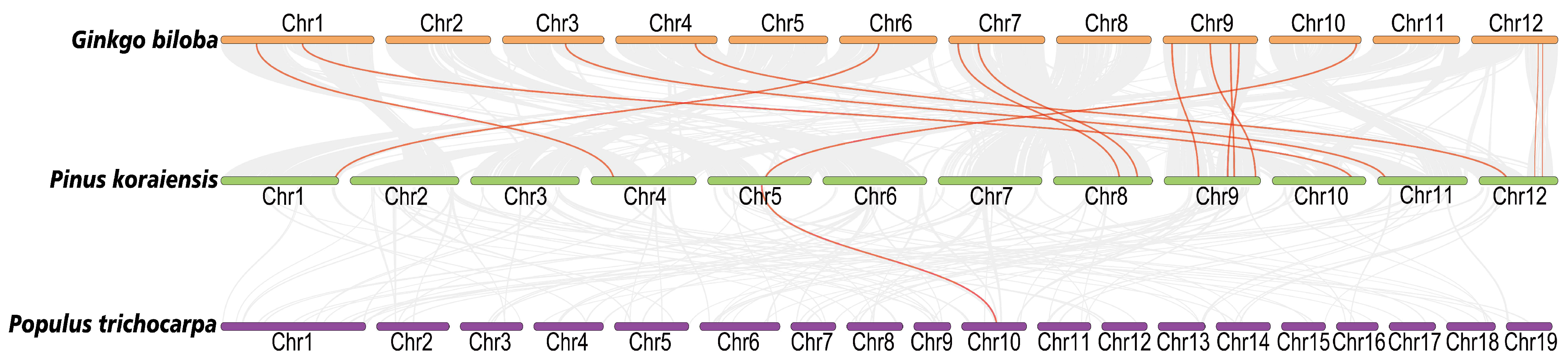 Plants 14 00238 g004