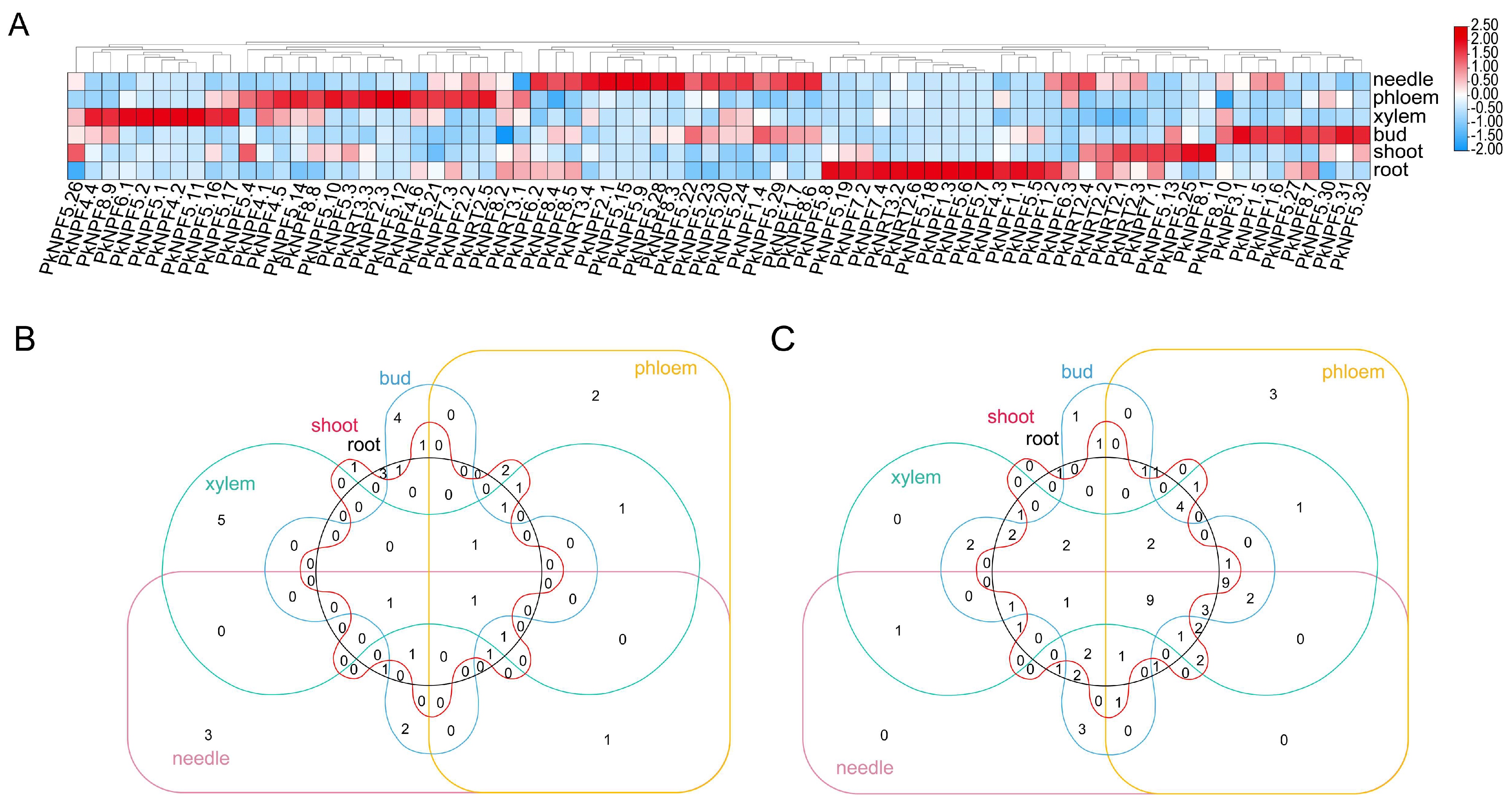Plants 14 00238 g005