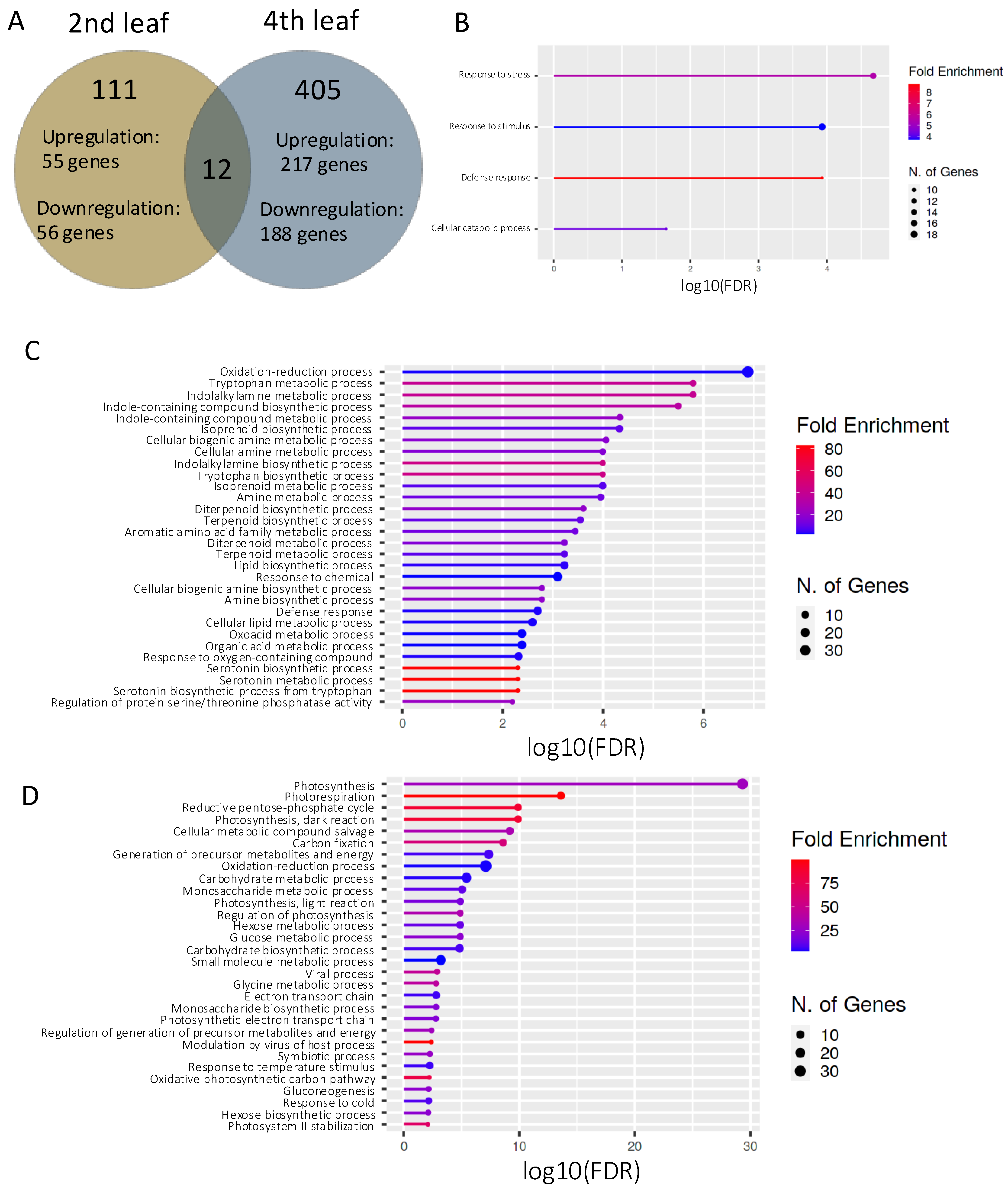 Plants 14 00241 g002