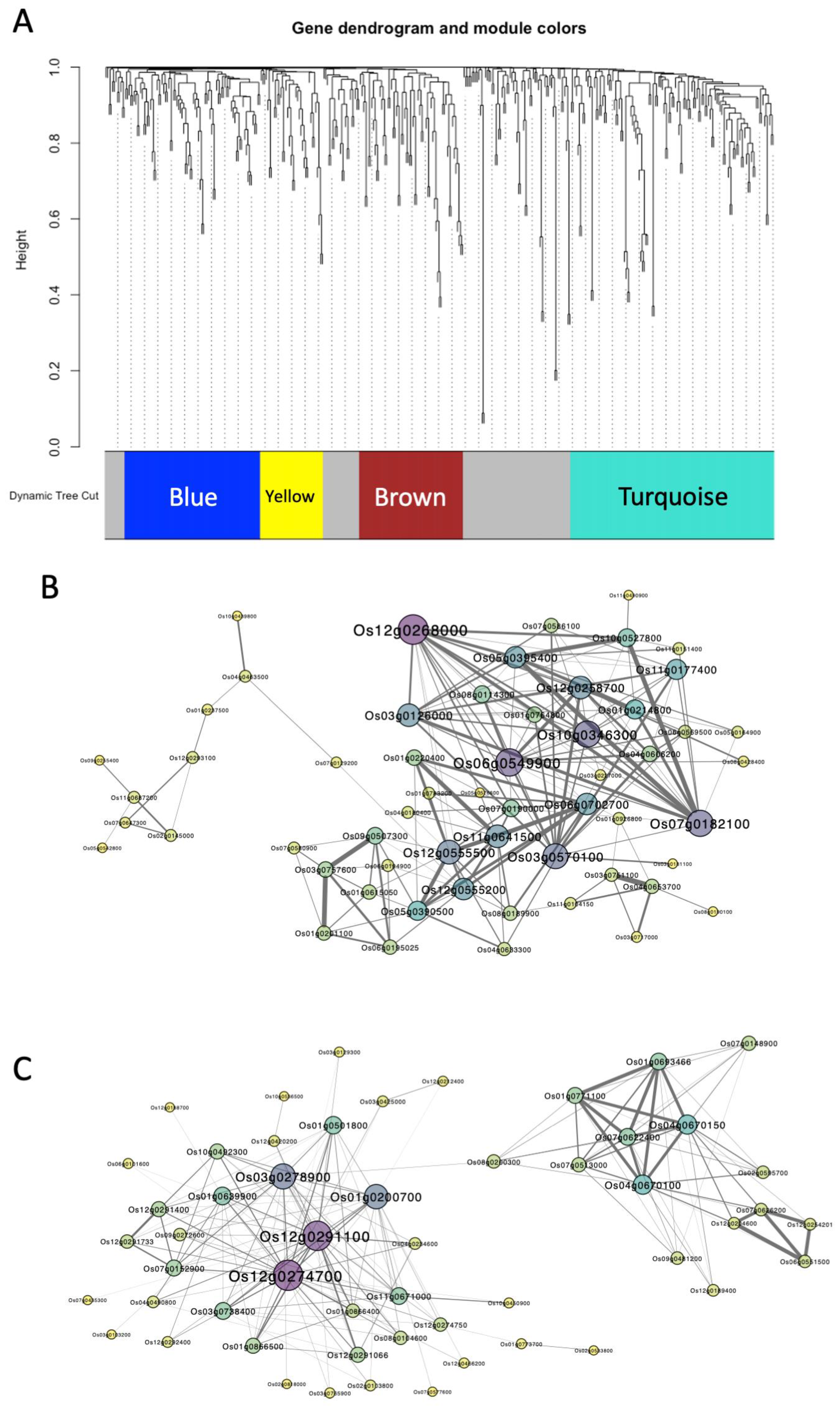 Plants 14 00241 g003