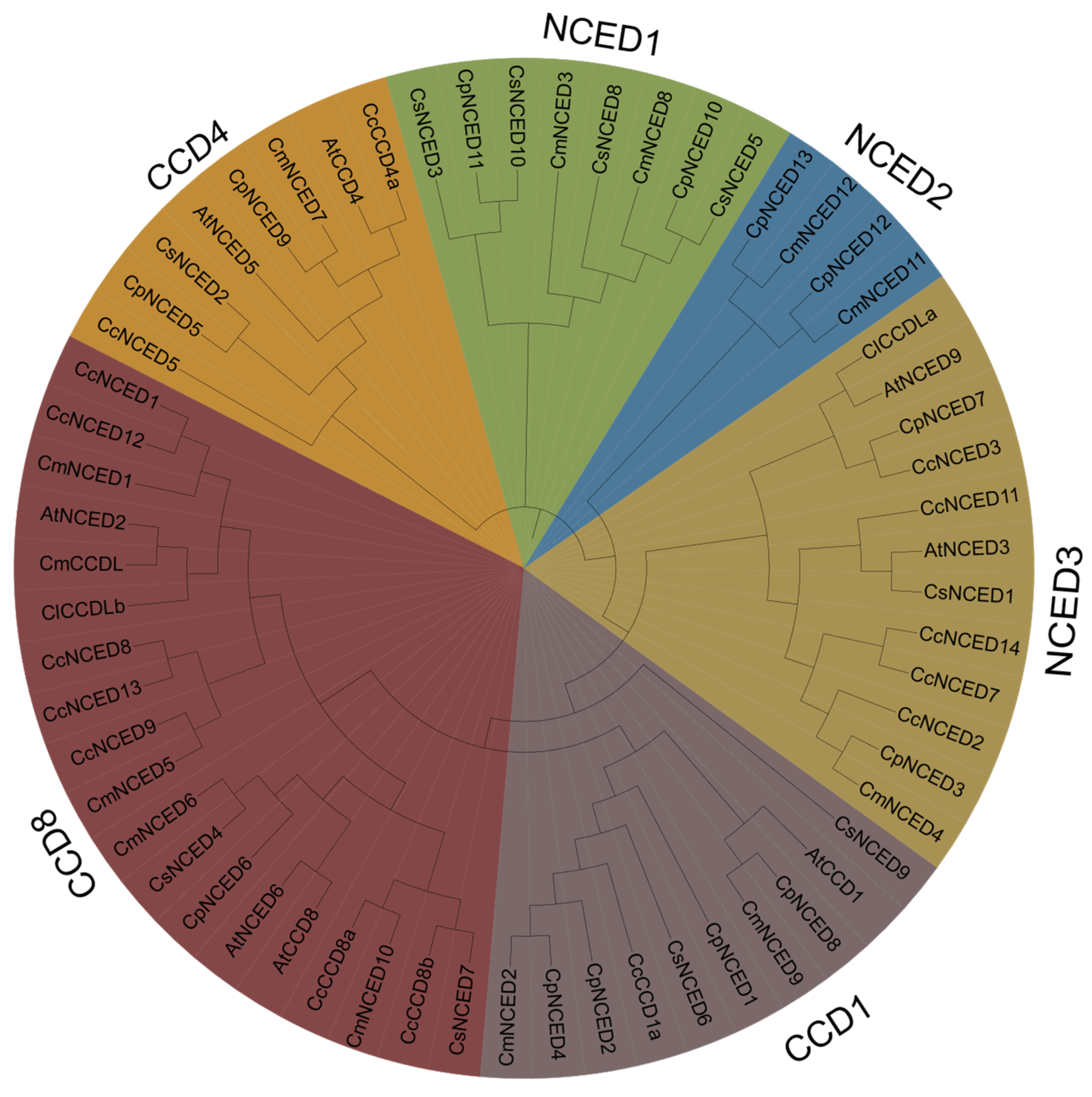 Plants 14 00249 g002
