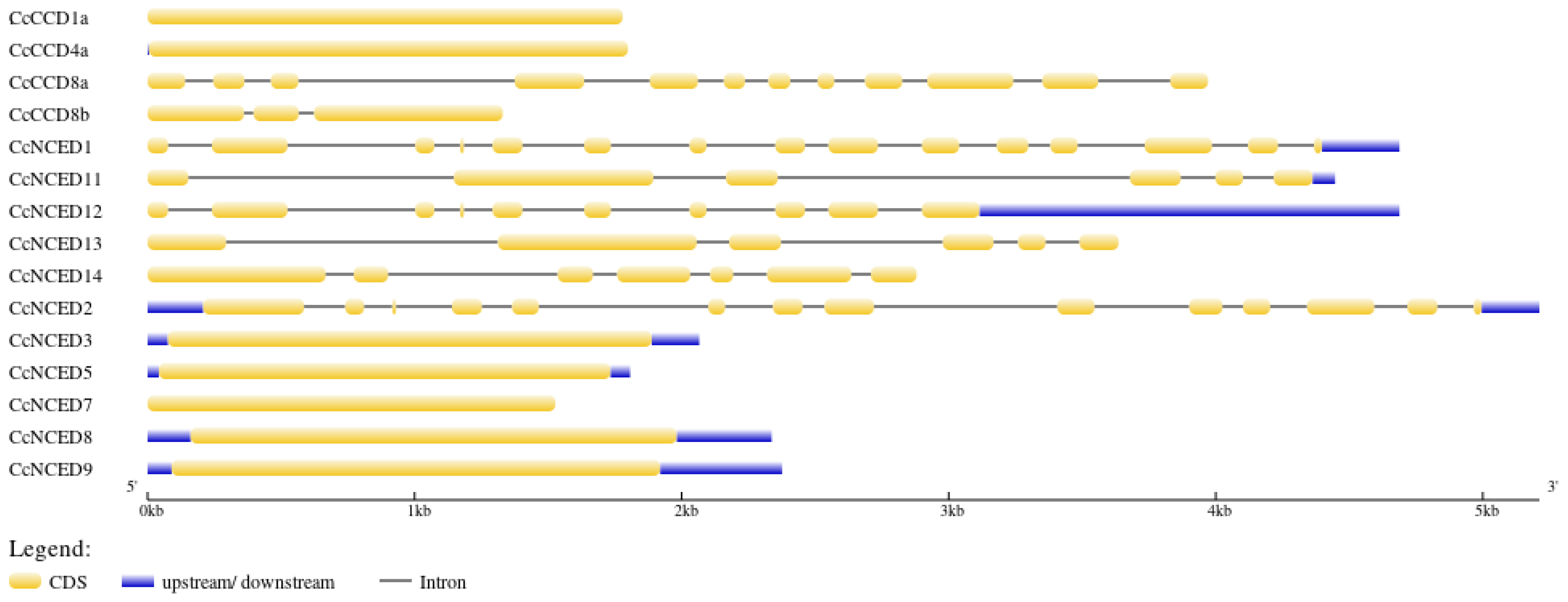 Plants 14 00249 g003