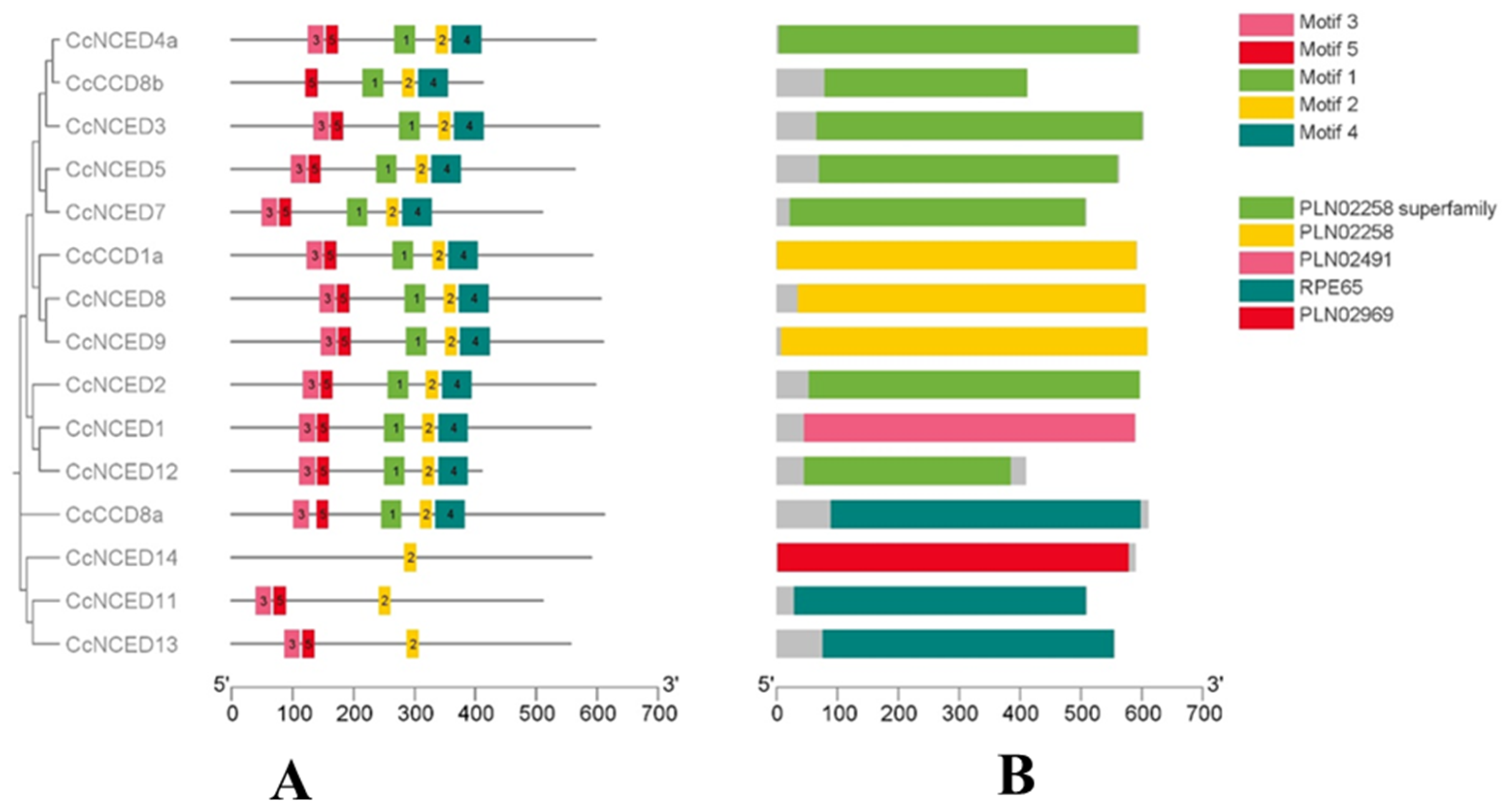 Plants 14 00249 g004