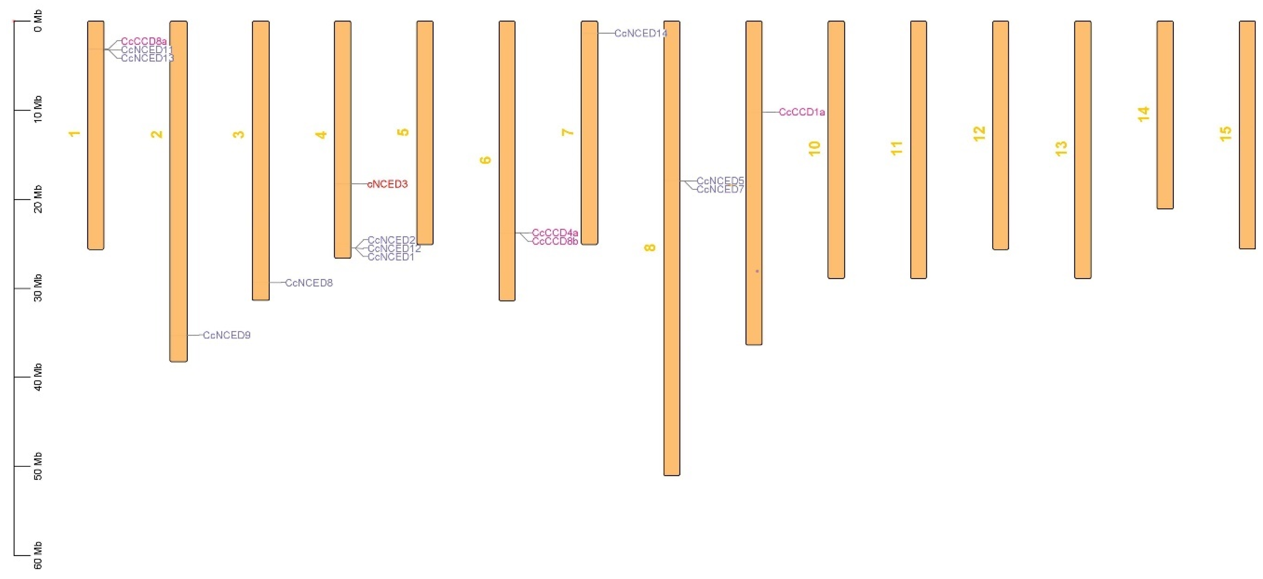 Plants 14 00249 g006