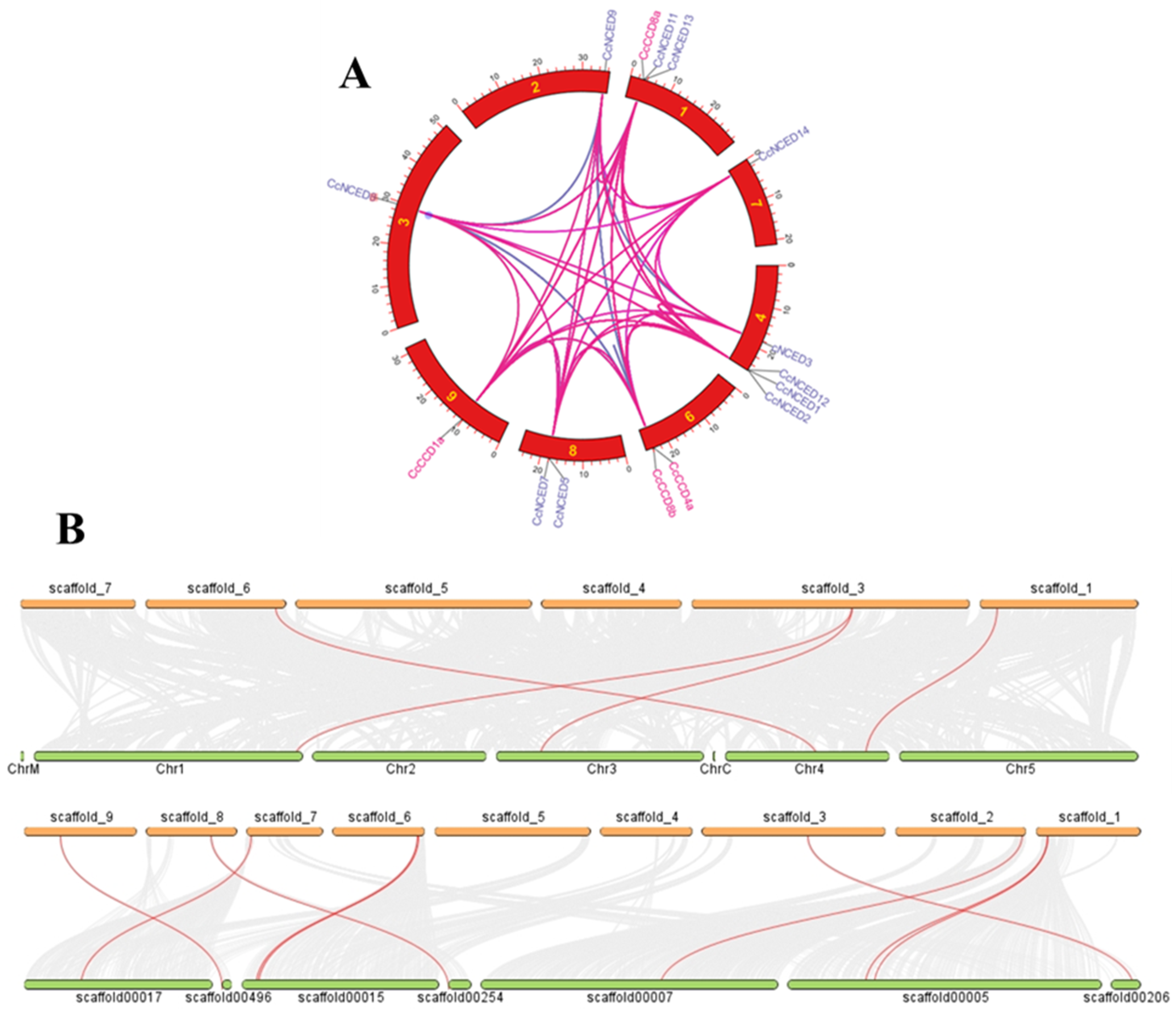 Plants 14 00249 g007