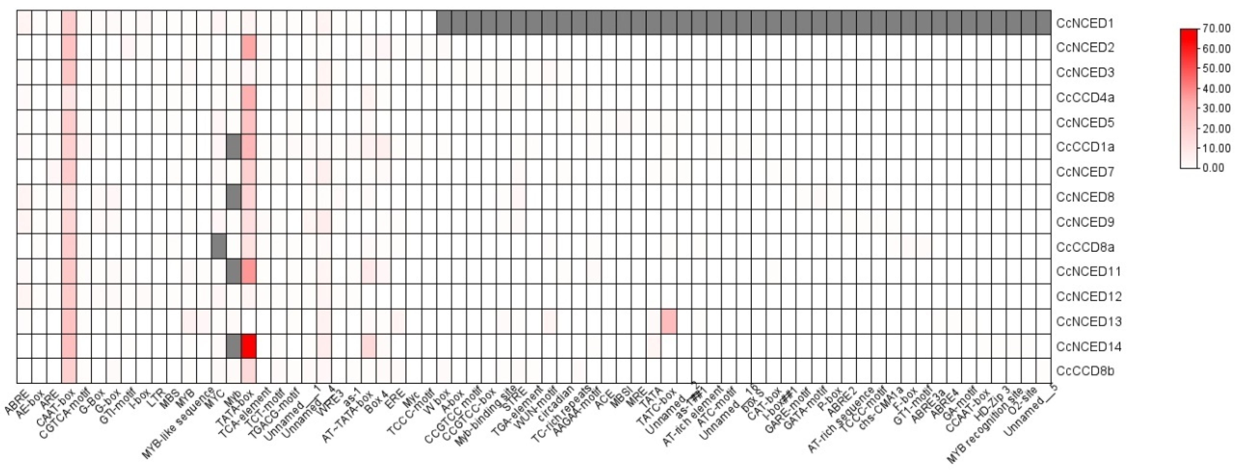 Plants 14 00249 g008