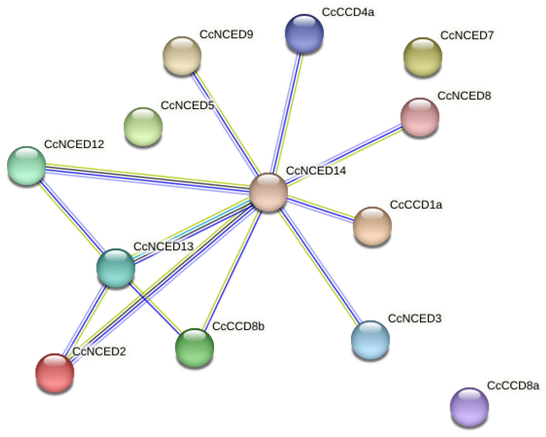 Plants 14 00249 g009