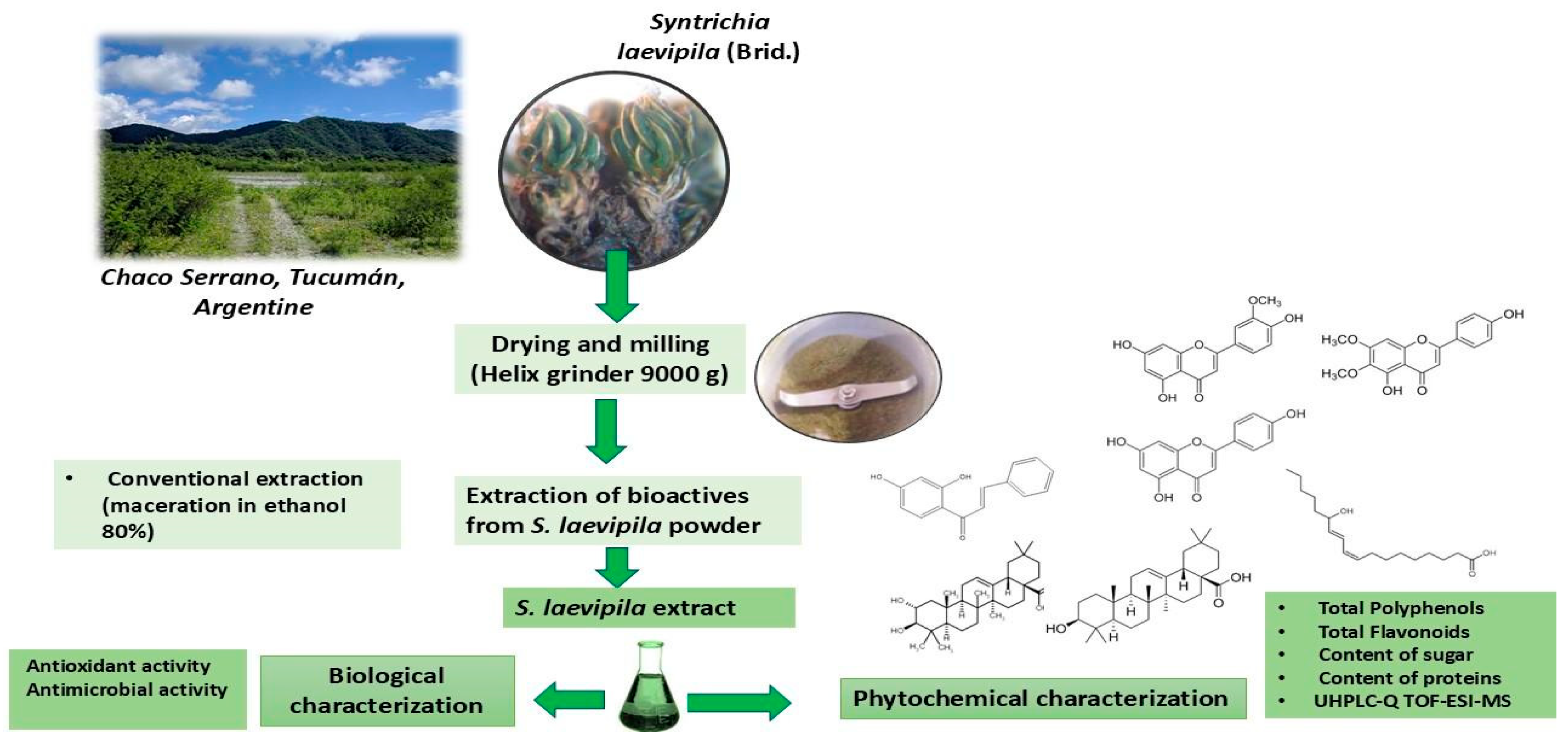 Plants 14 00253 g002