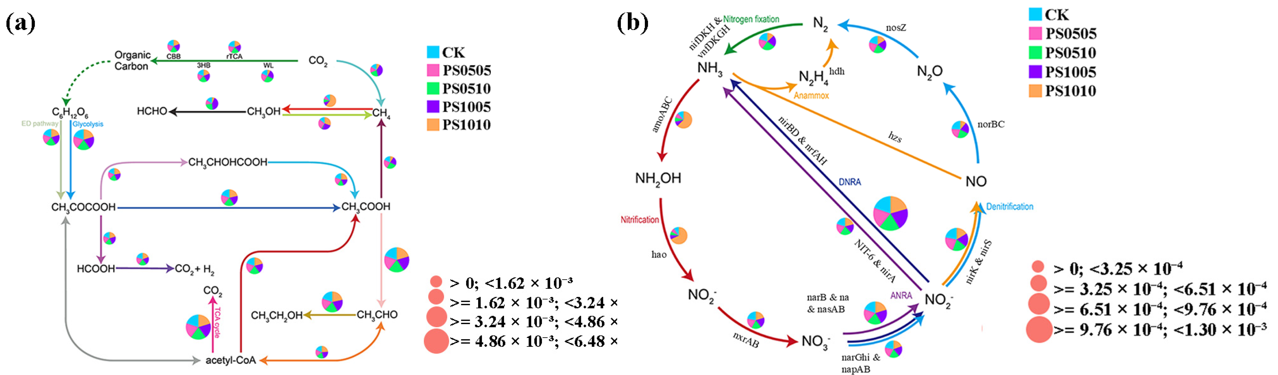 Plants 14 00256 g009
