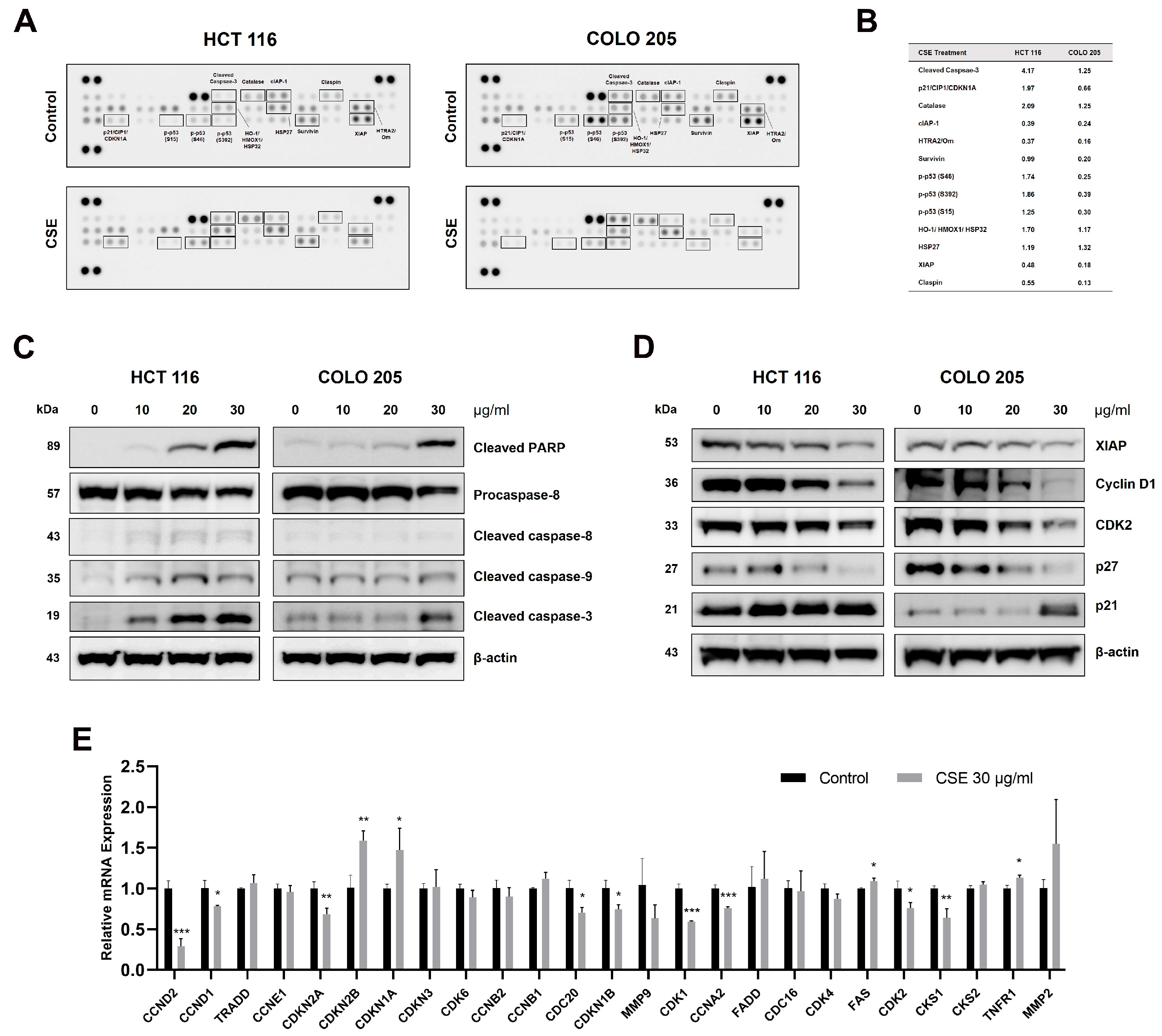 Plants 14 00263 g006