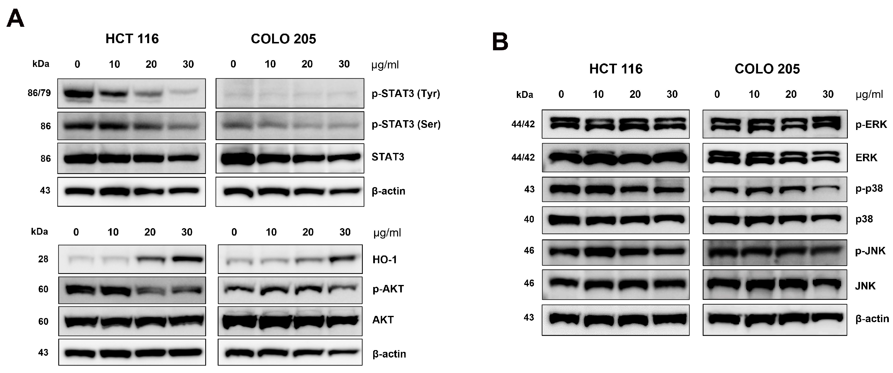 Plants 14 00263 g007