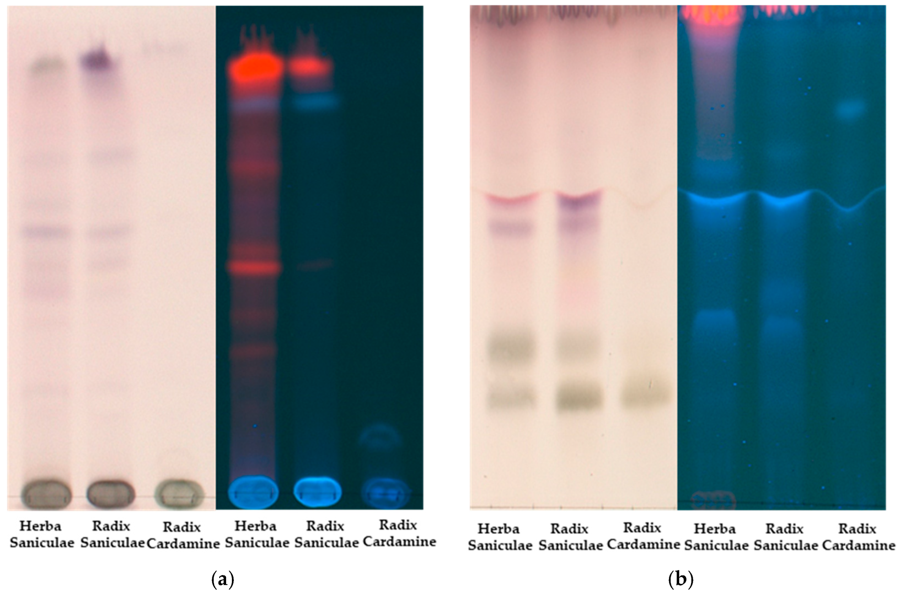 Plants 14 00266 g002