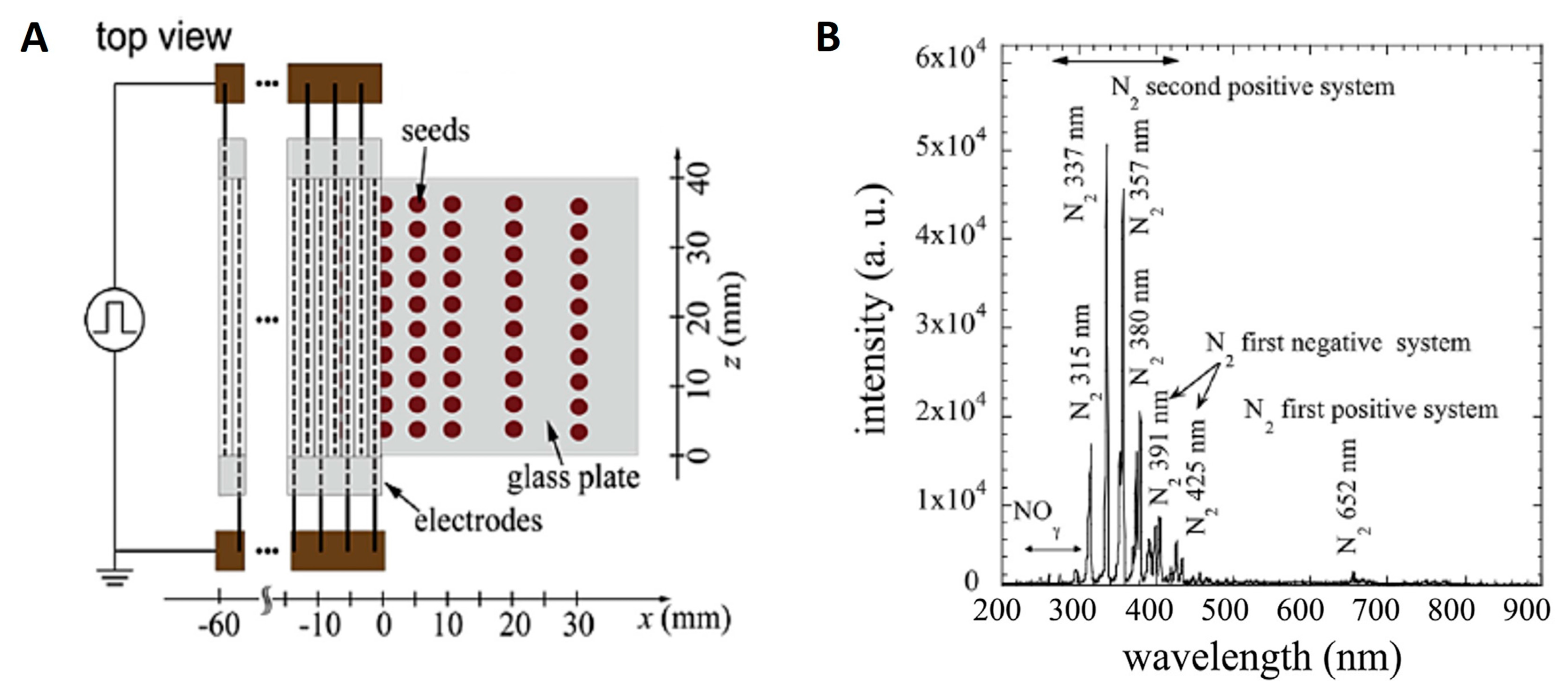 Plants 14 00271 g009