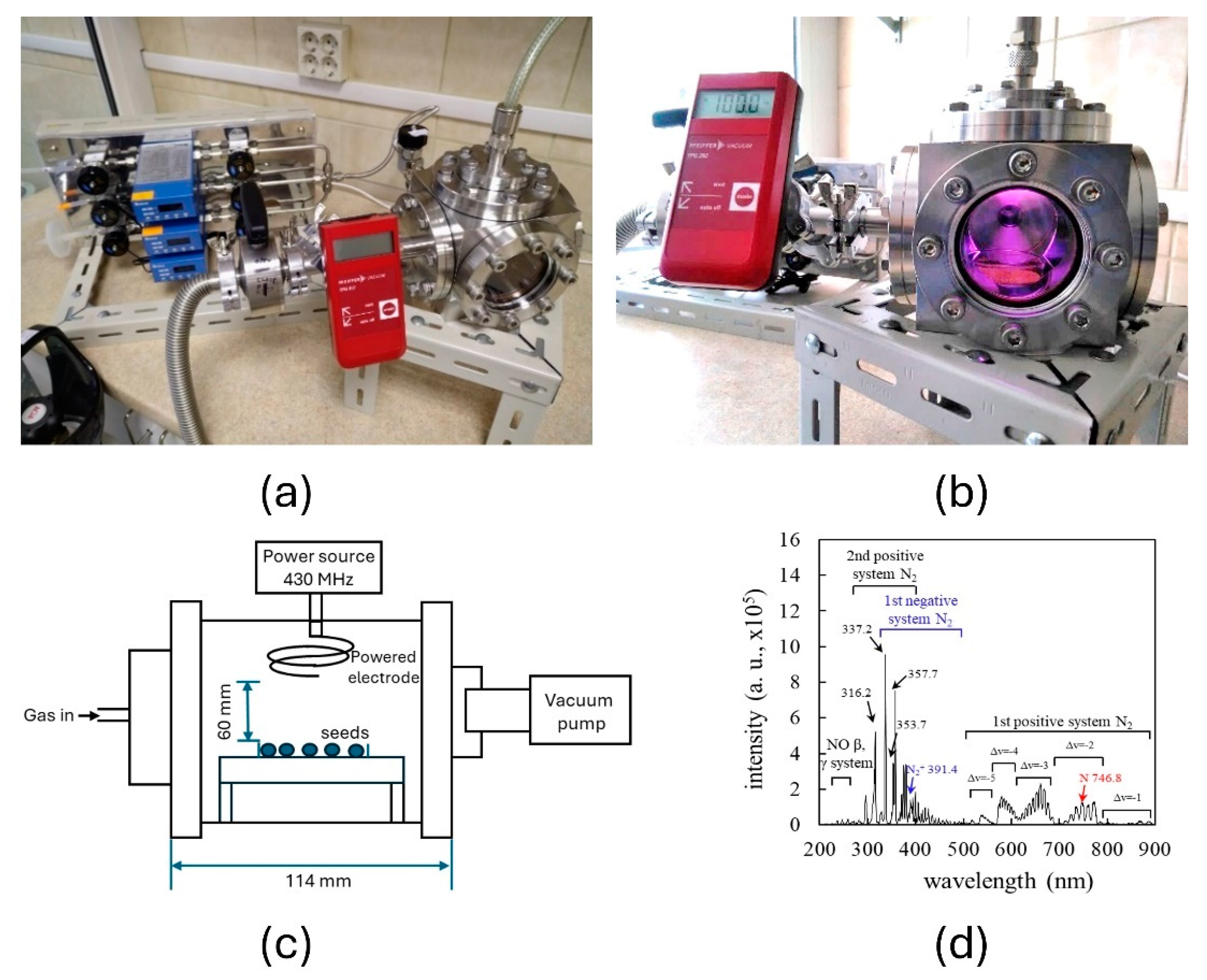 Plants 14 00271 g010