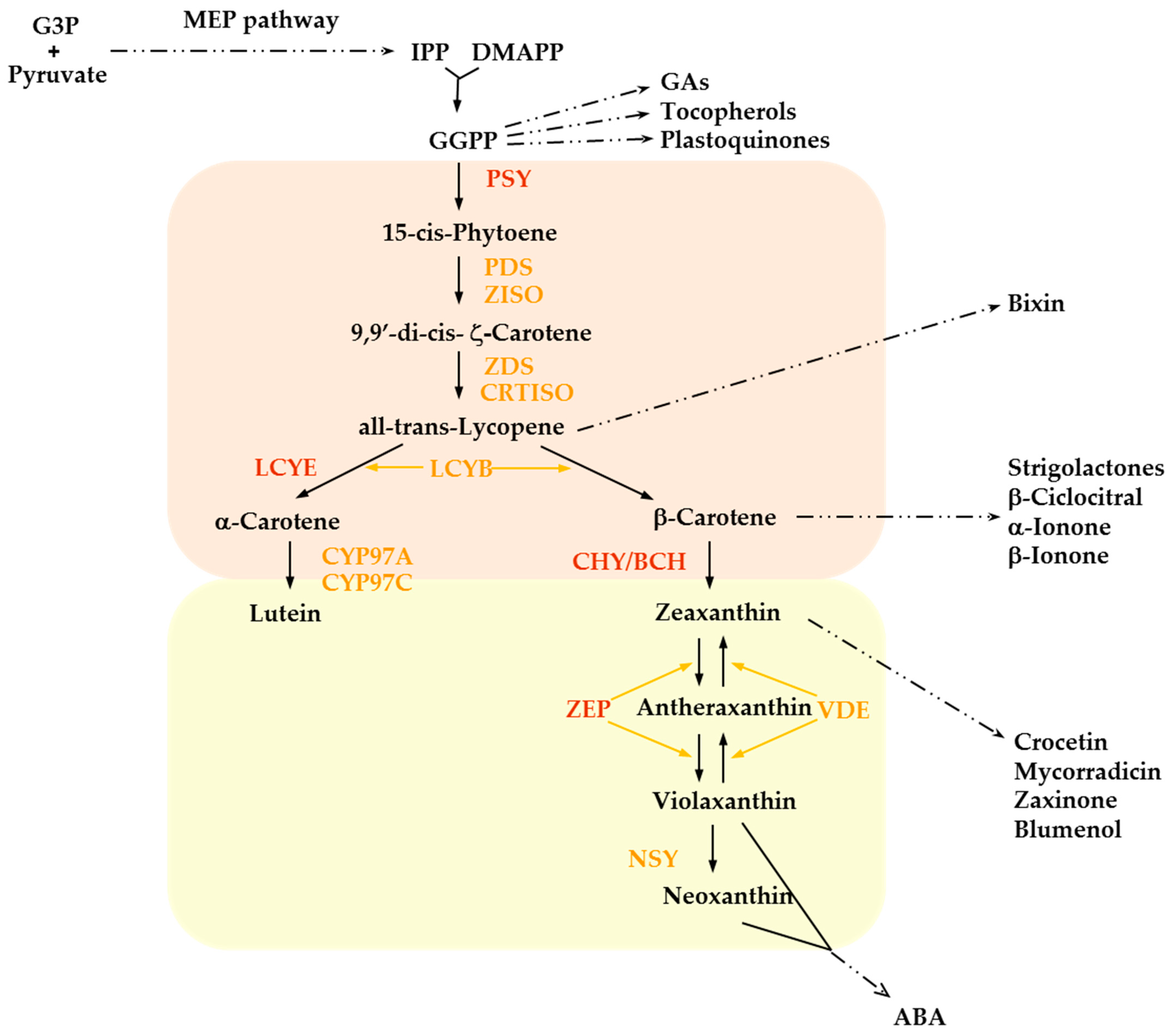 Plants 14 00272 g002 Plants 14 00272 g002