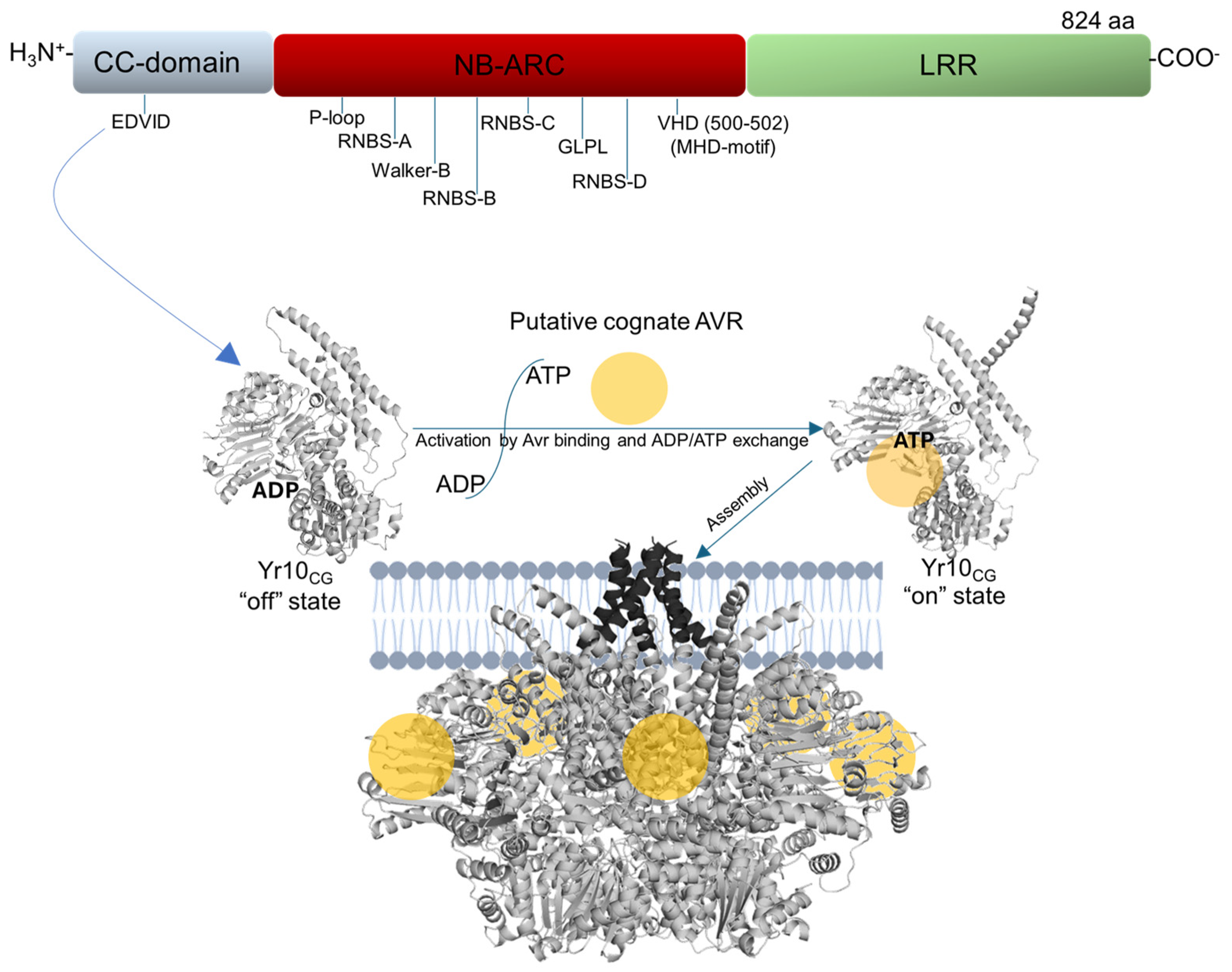 Plants 14 00278 g001