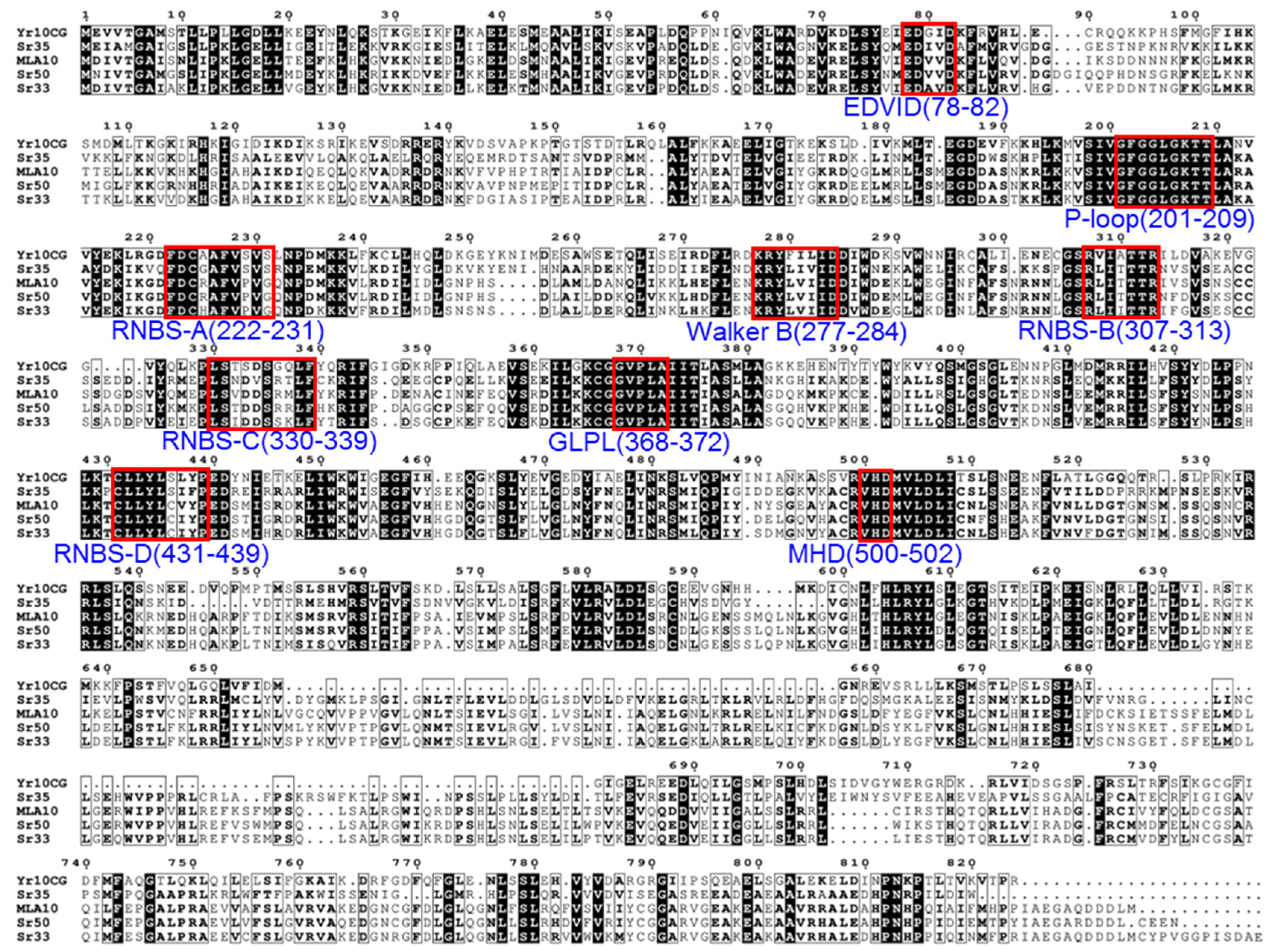Plants 14 00278 g003